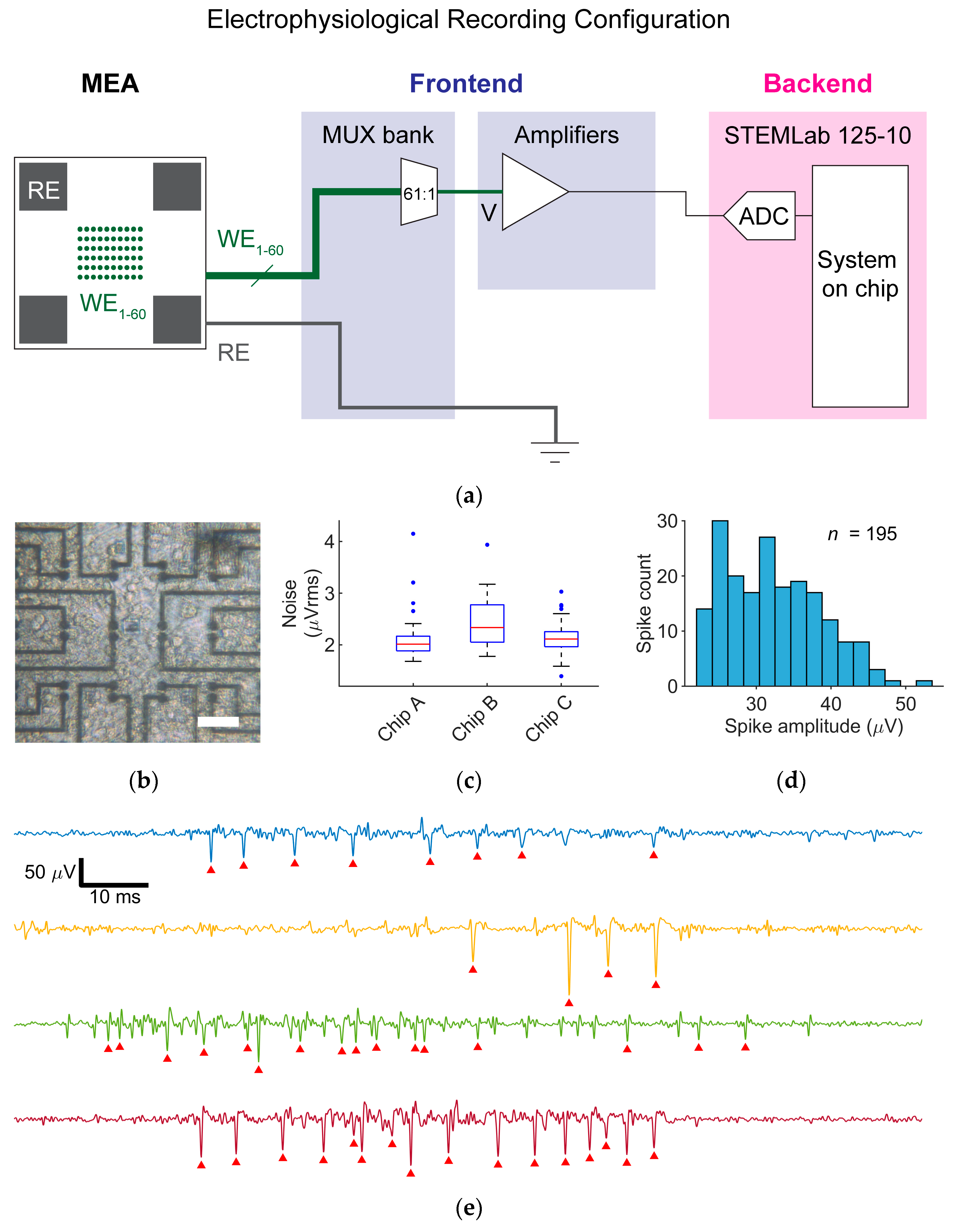 Sensors 25 02874 g004