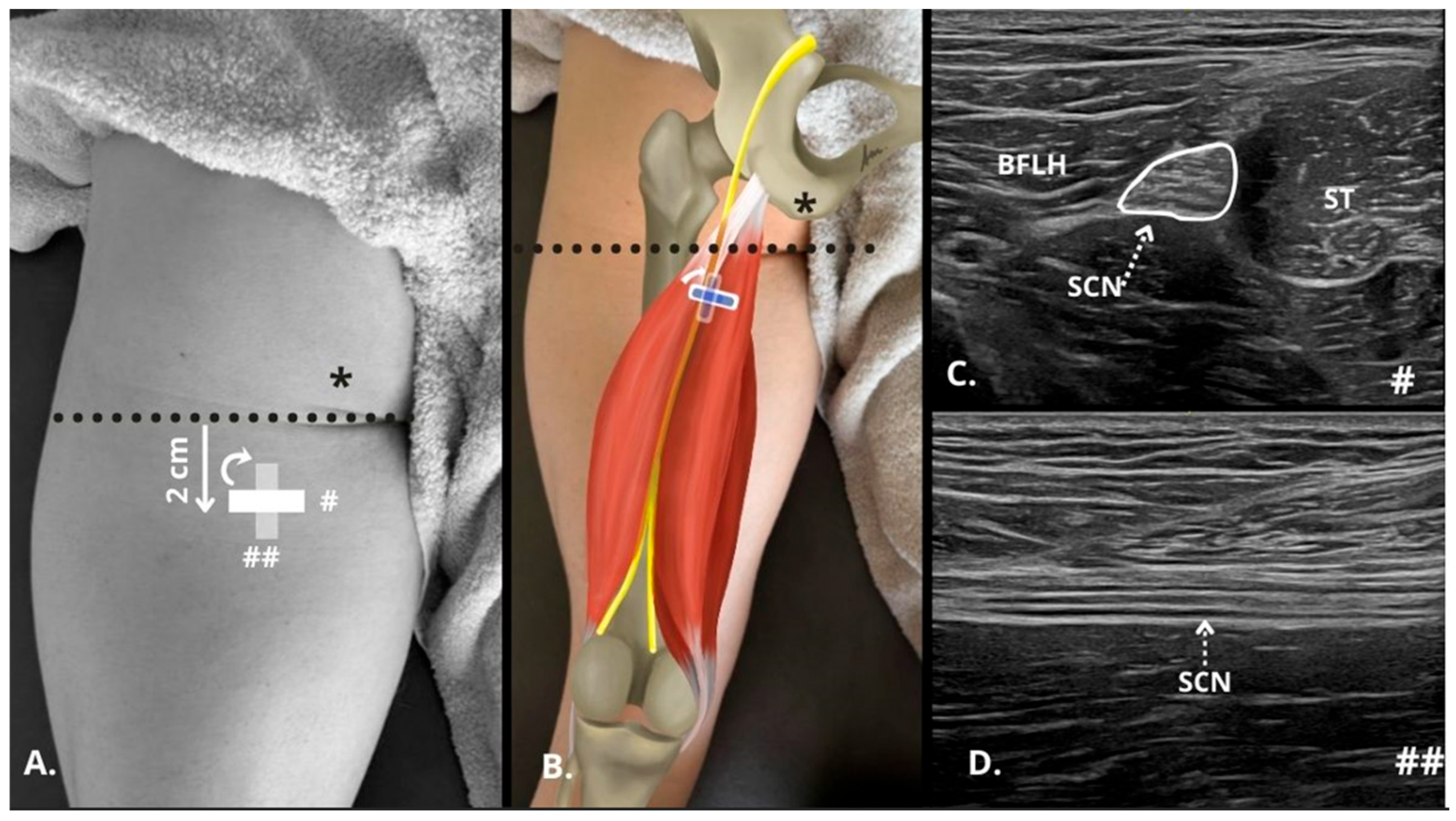 Sensors 25 02885 g001