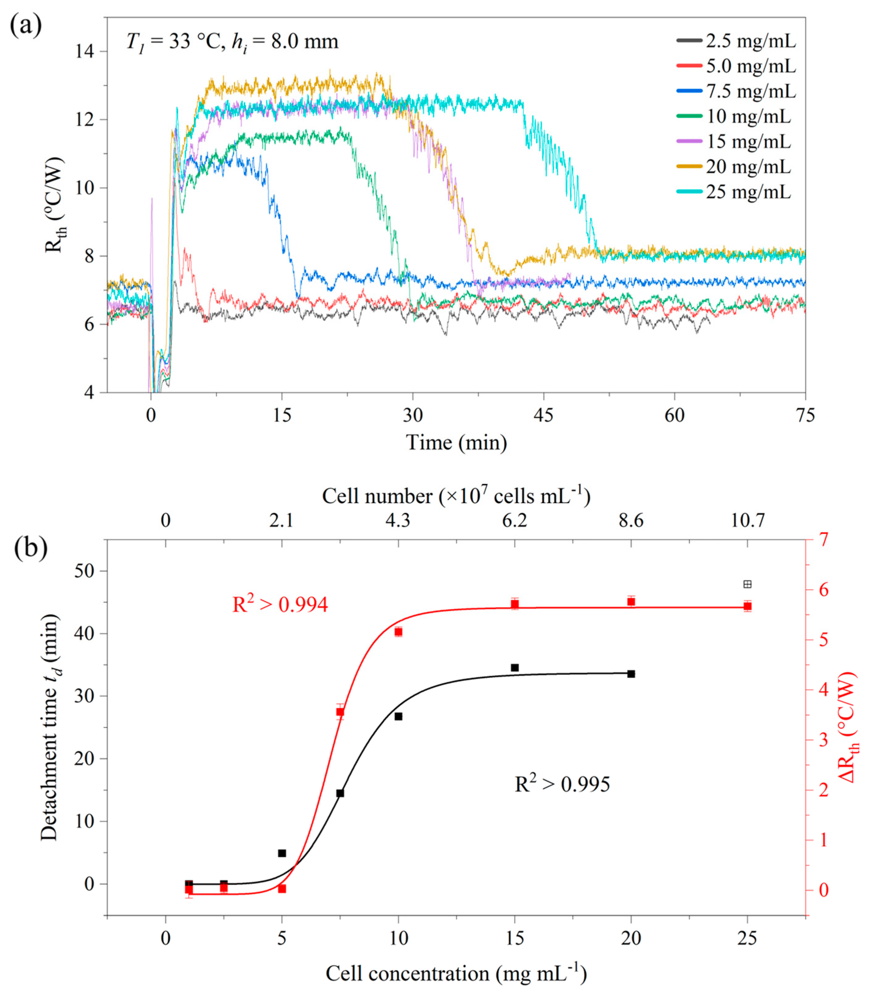 Sensors 25 02902 g005