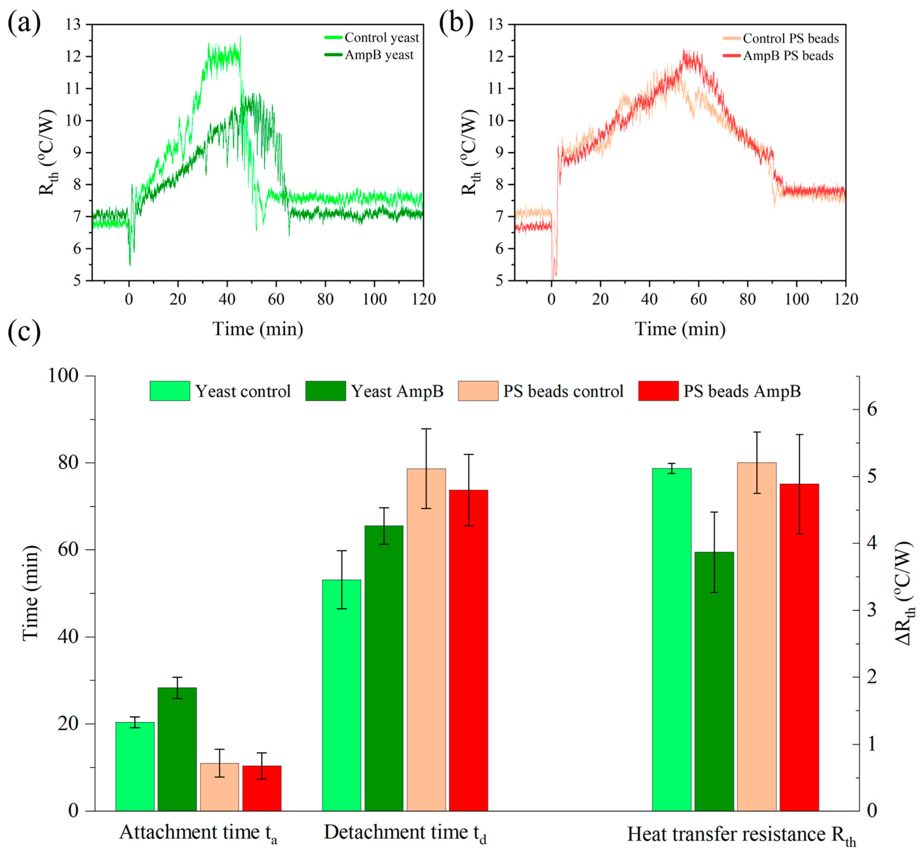 Sensors 25 02902 g008