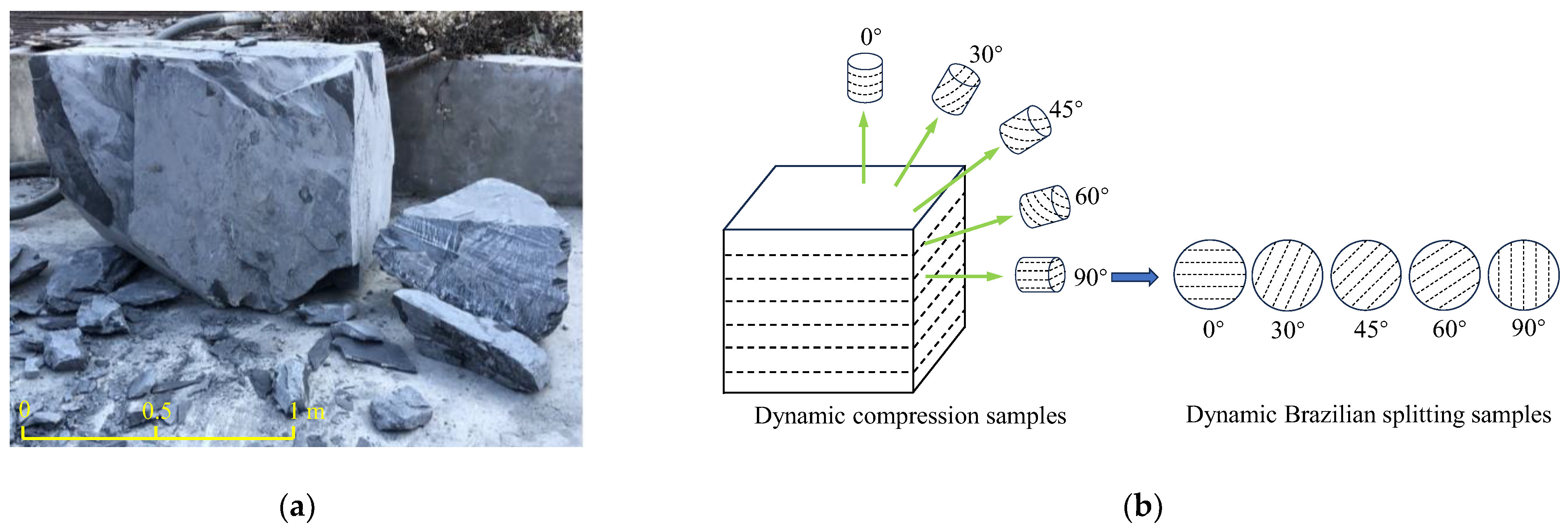 Sensors 25 02905 g001