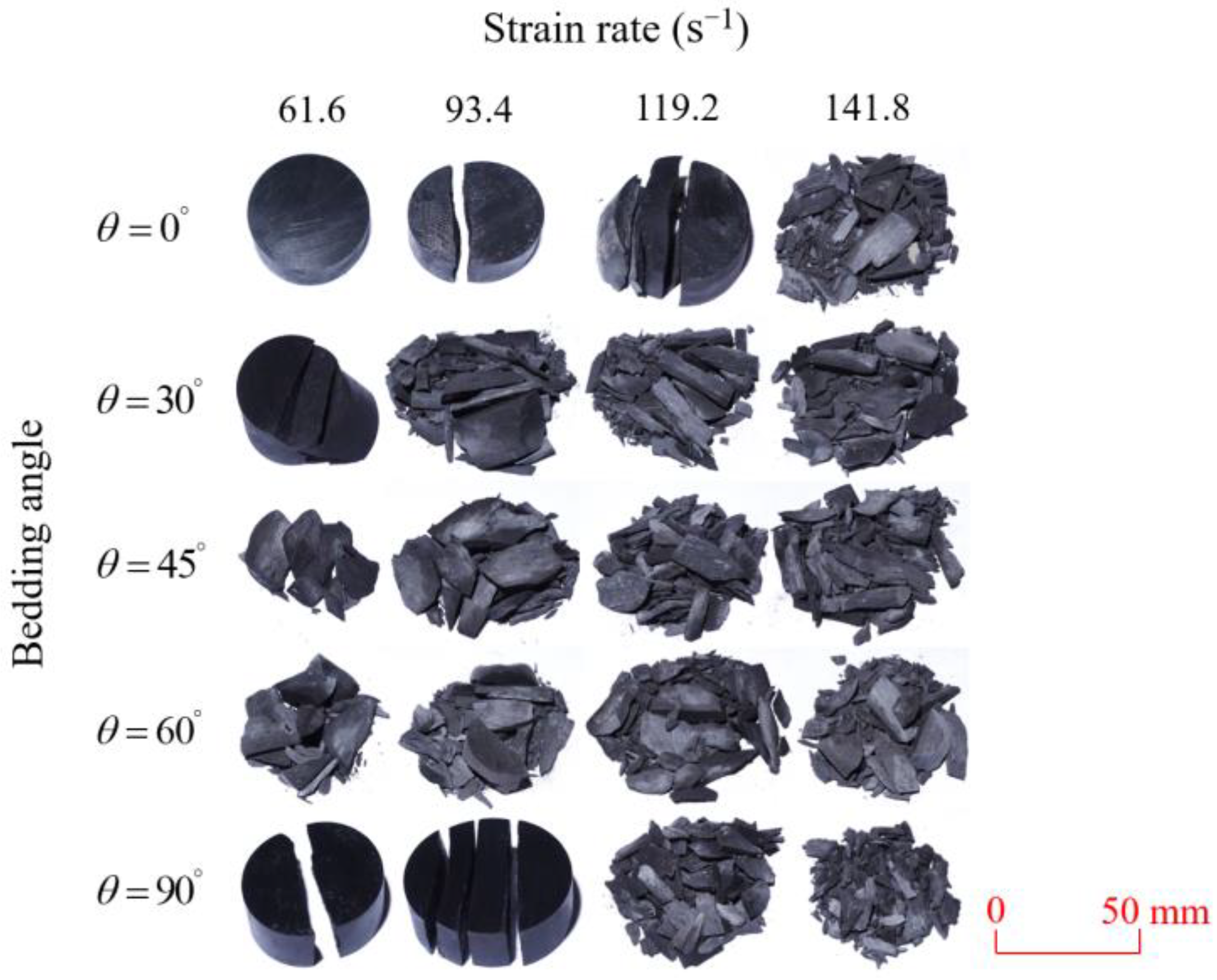 Sensors 25 02905 g011