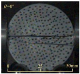 Sensors 25 02905 i001