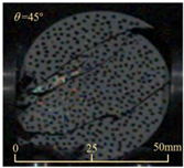 Sensors 25 02905 i014