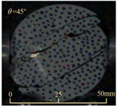 Sensors 25 02905 i015
