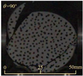 Sensors 25 02905 i025