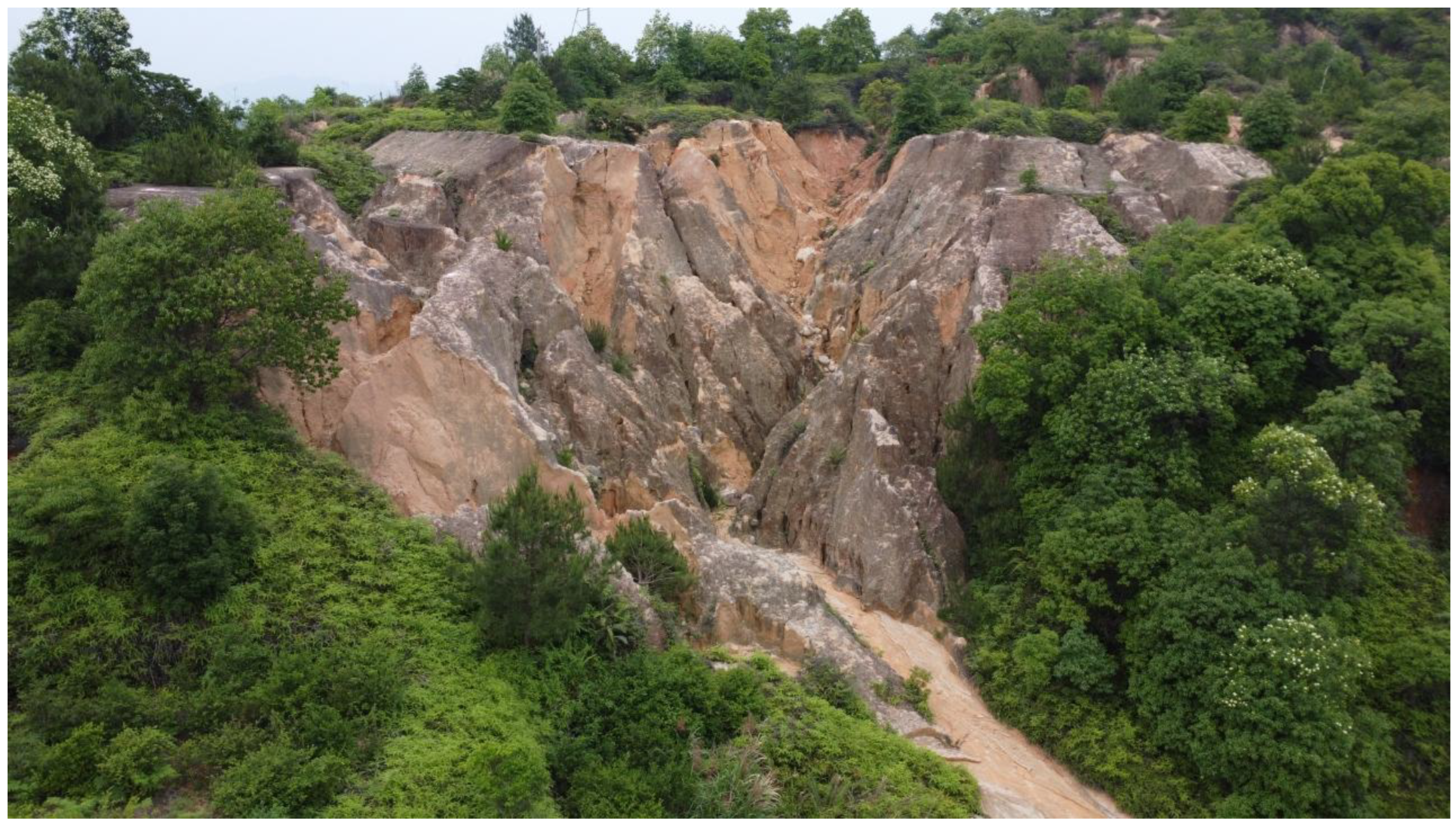 Sensors 25 02924 g001