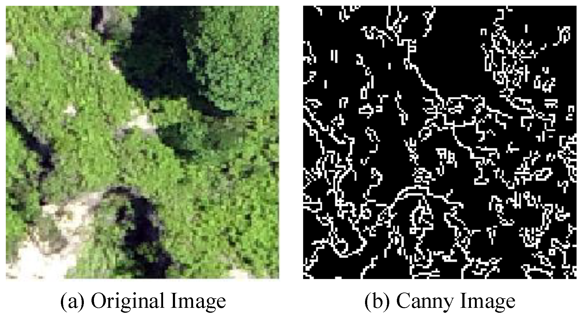Sensors 25 02924 g003