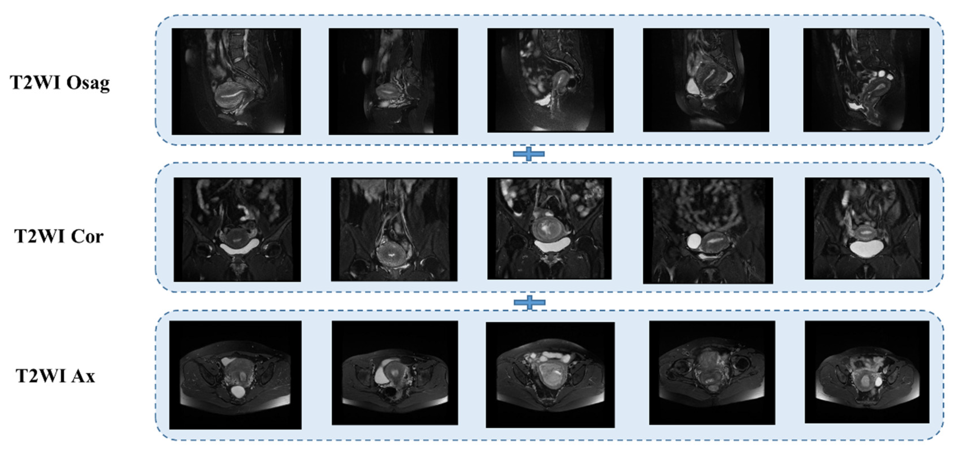 Sensors 25 02932 g003