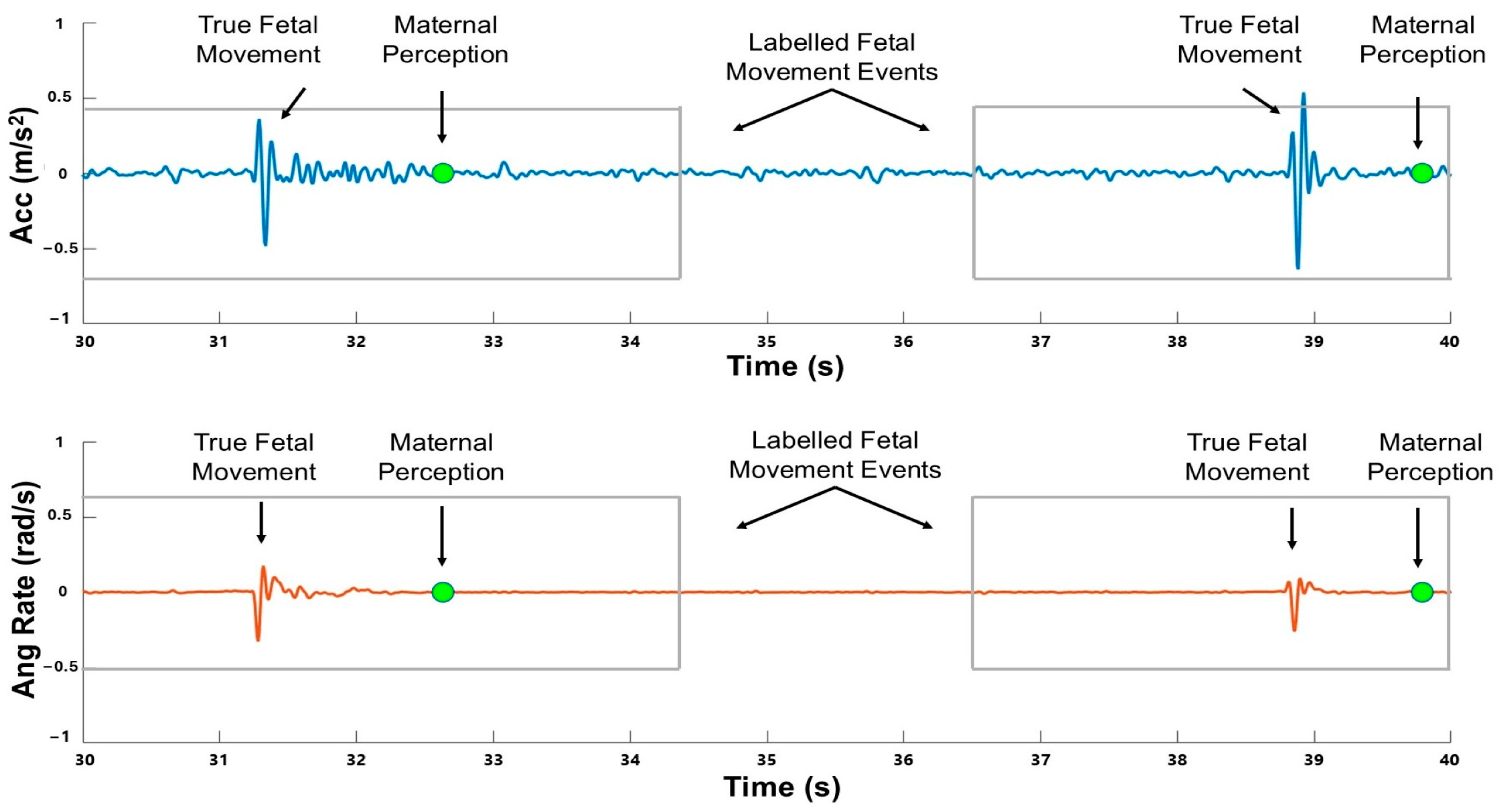 Sensors 25 02944 g002
