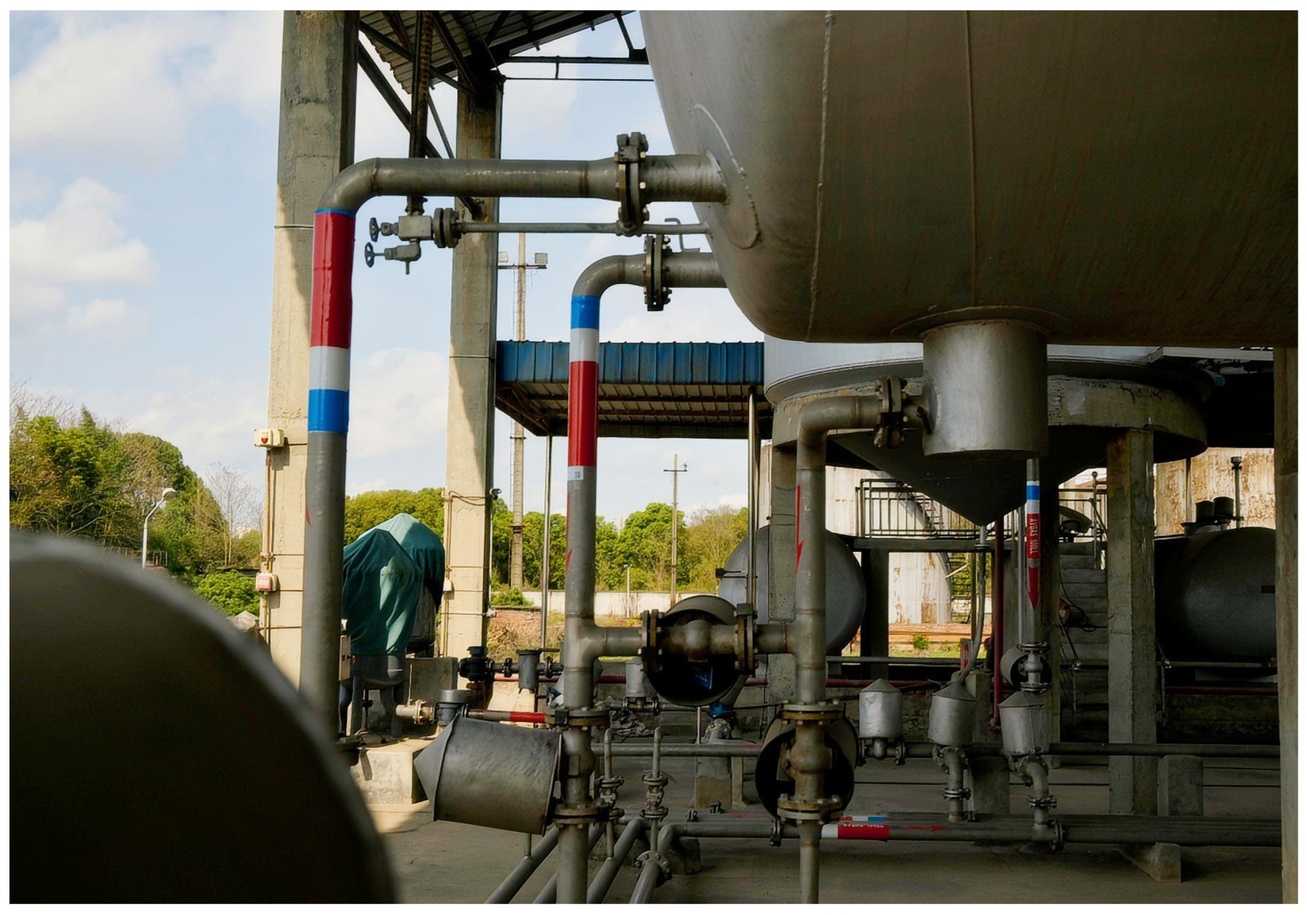 Sensors 25 02947 g010