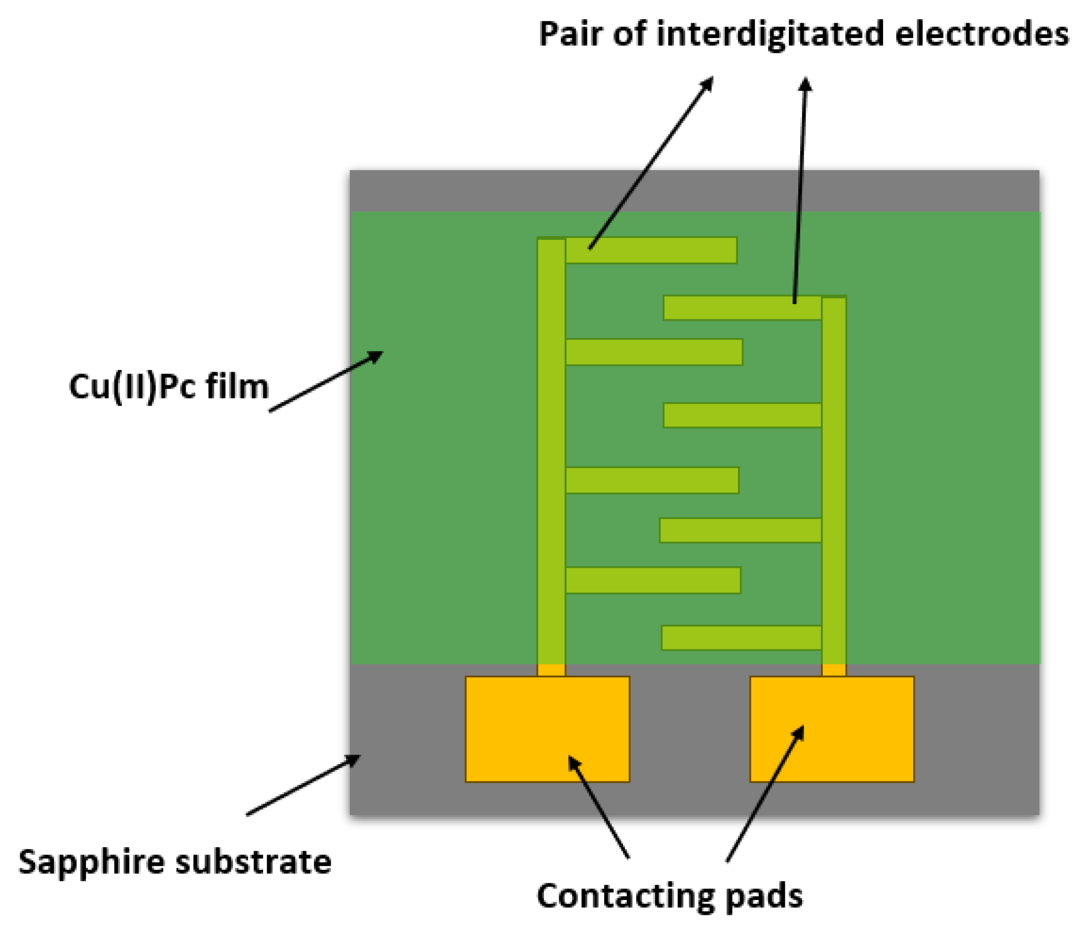 Sensors 25 02955 g001