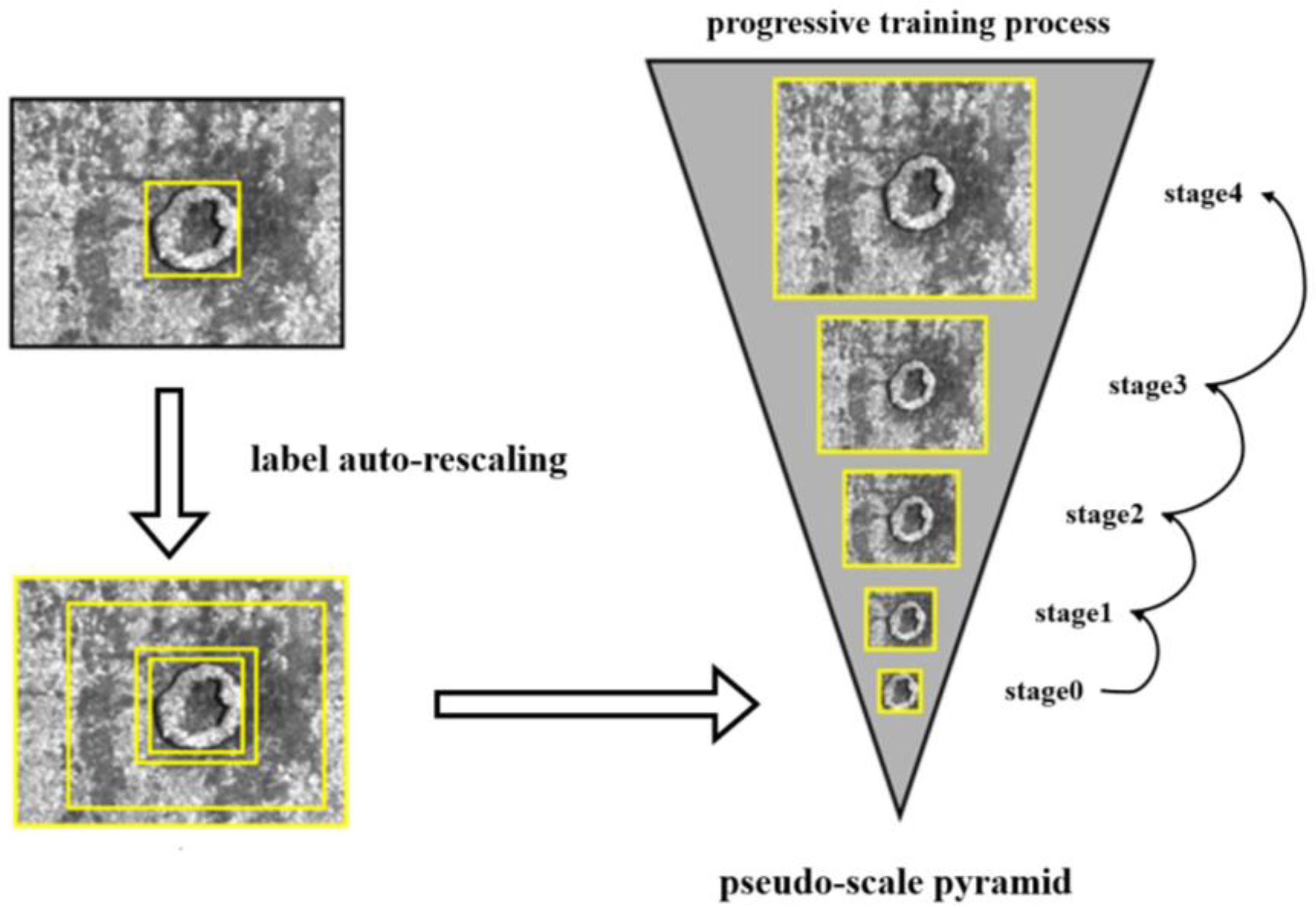 Sensors 25 02958 g004