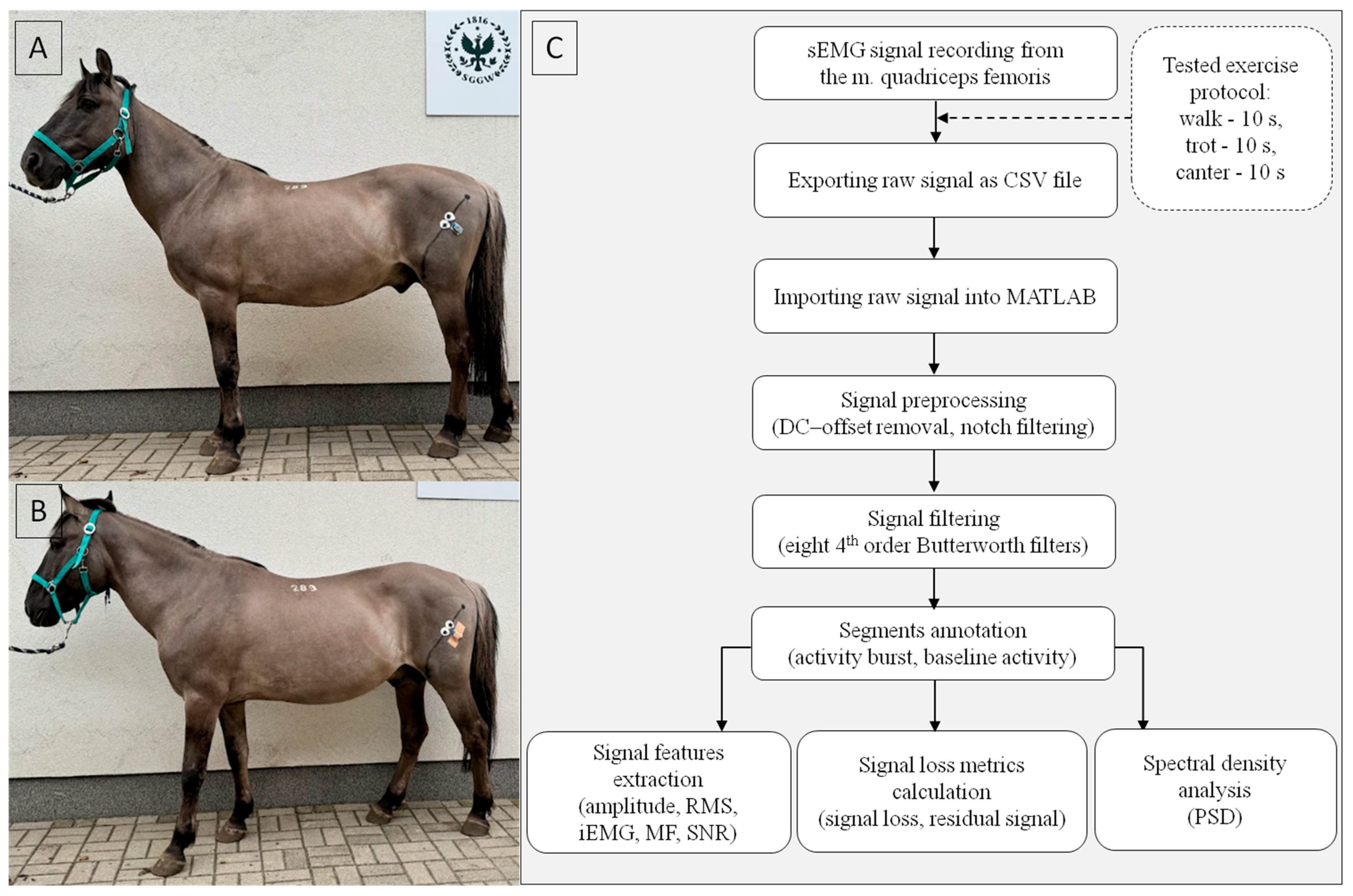 Sensors 25 02962 g001