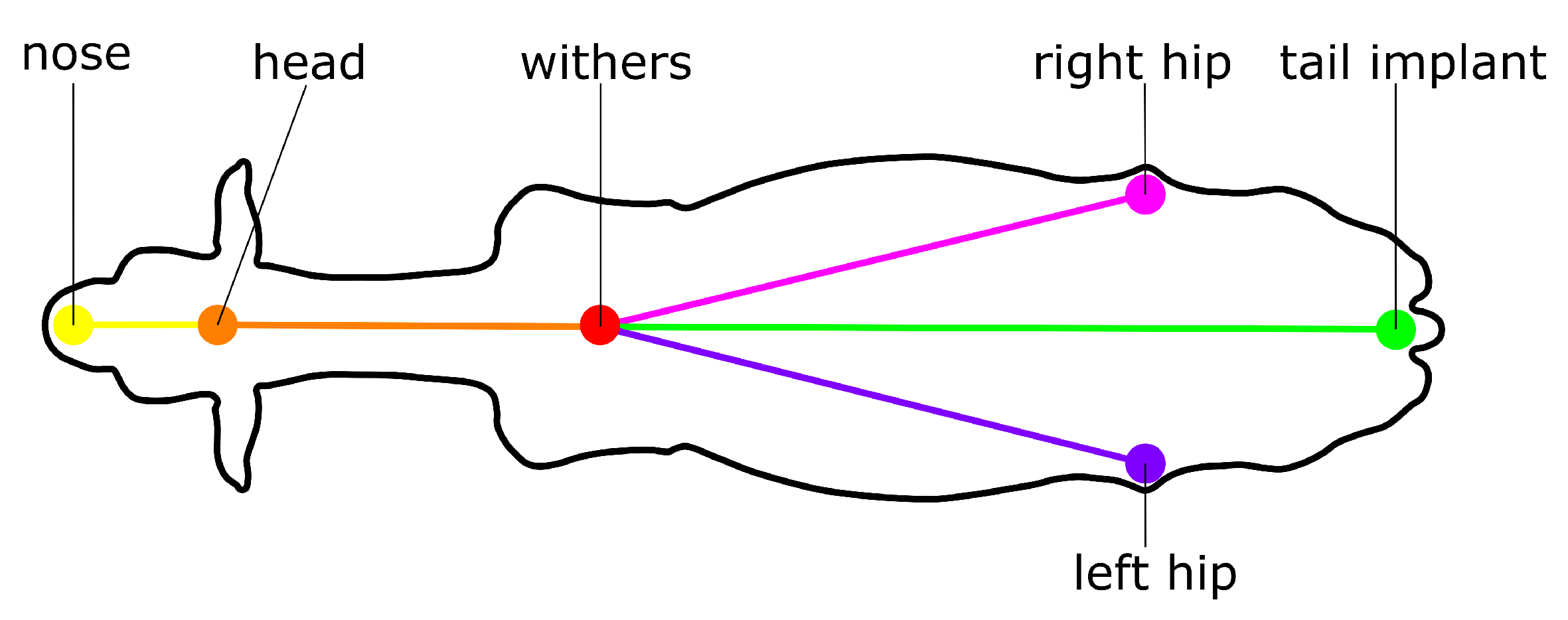 Sensors 25 02971 g001