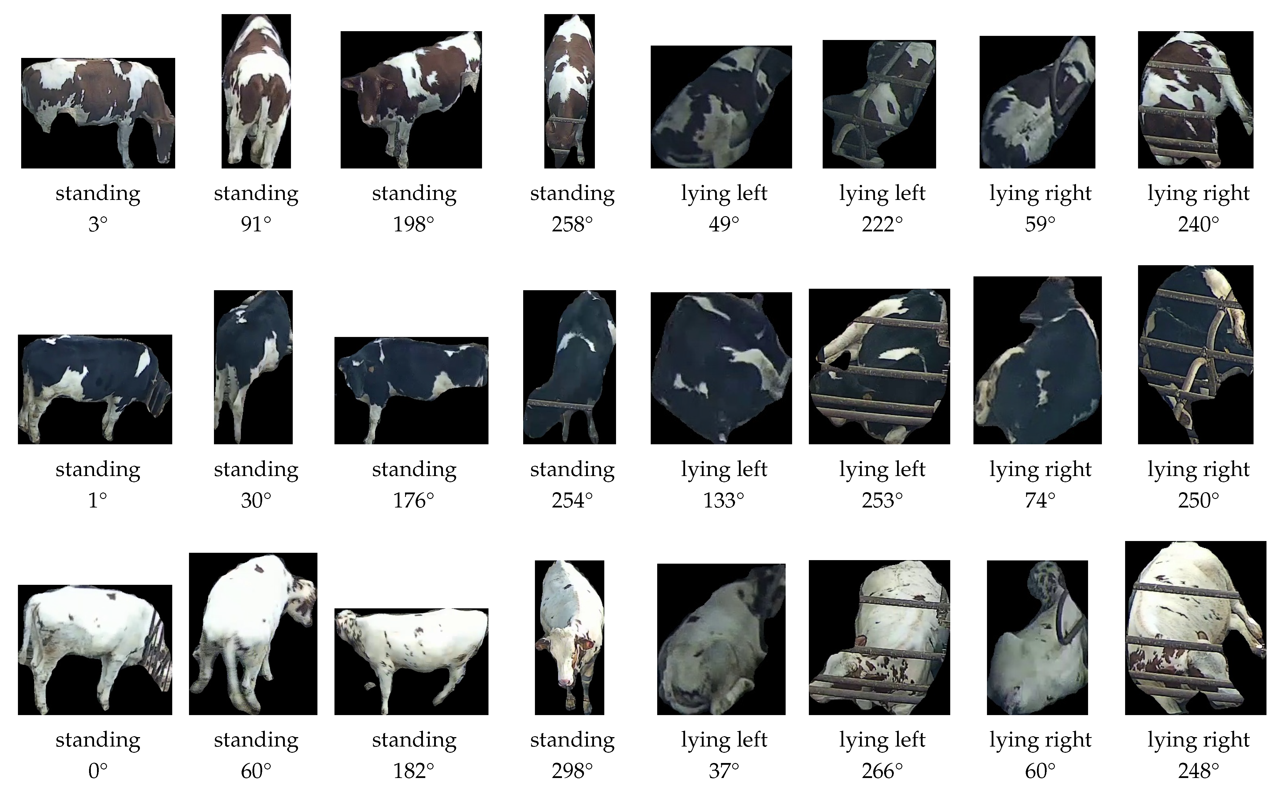 Sensors 25 02971 g003