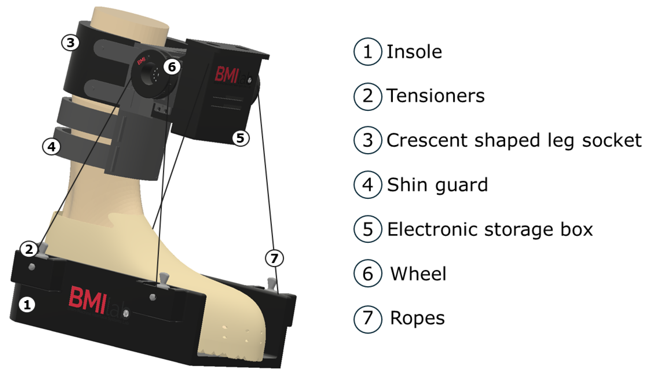 Sensors 25 02987 g002
