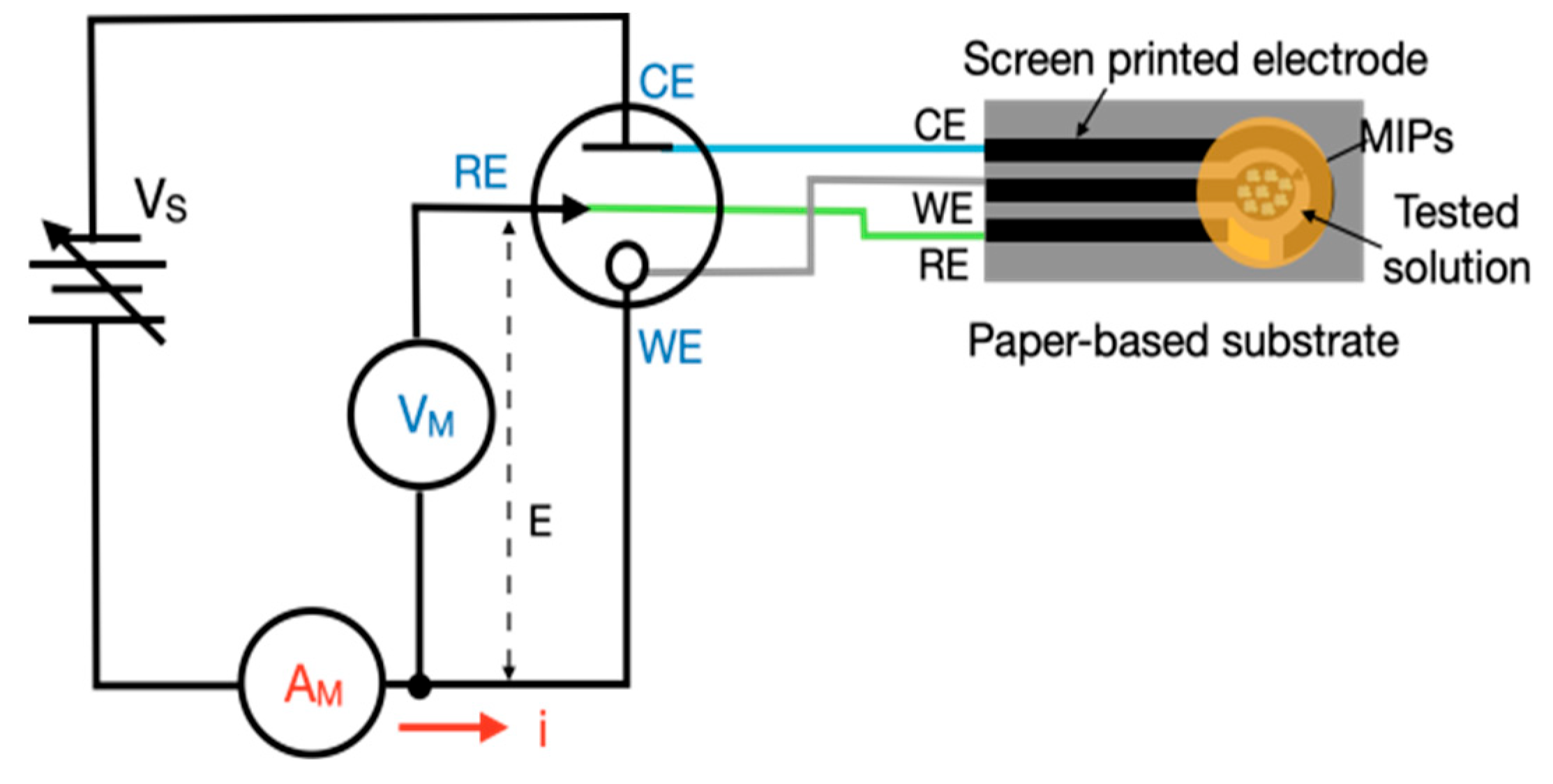 Sensors 25 02999 g004