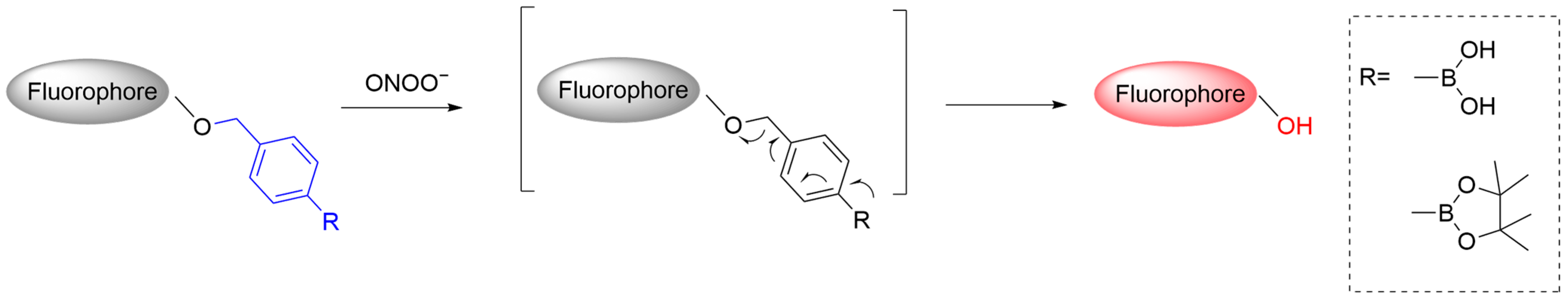 Sensors 25 03018 g003