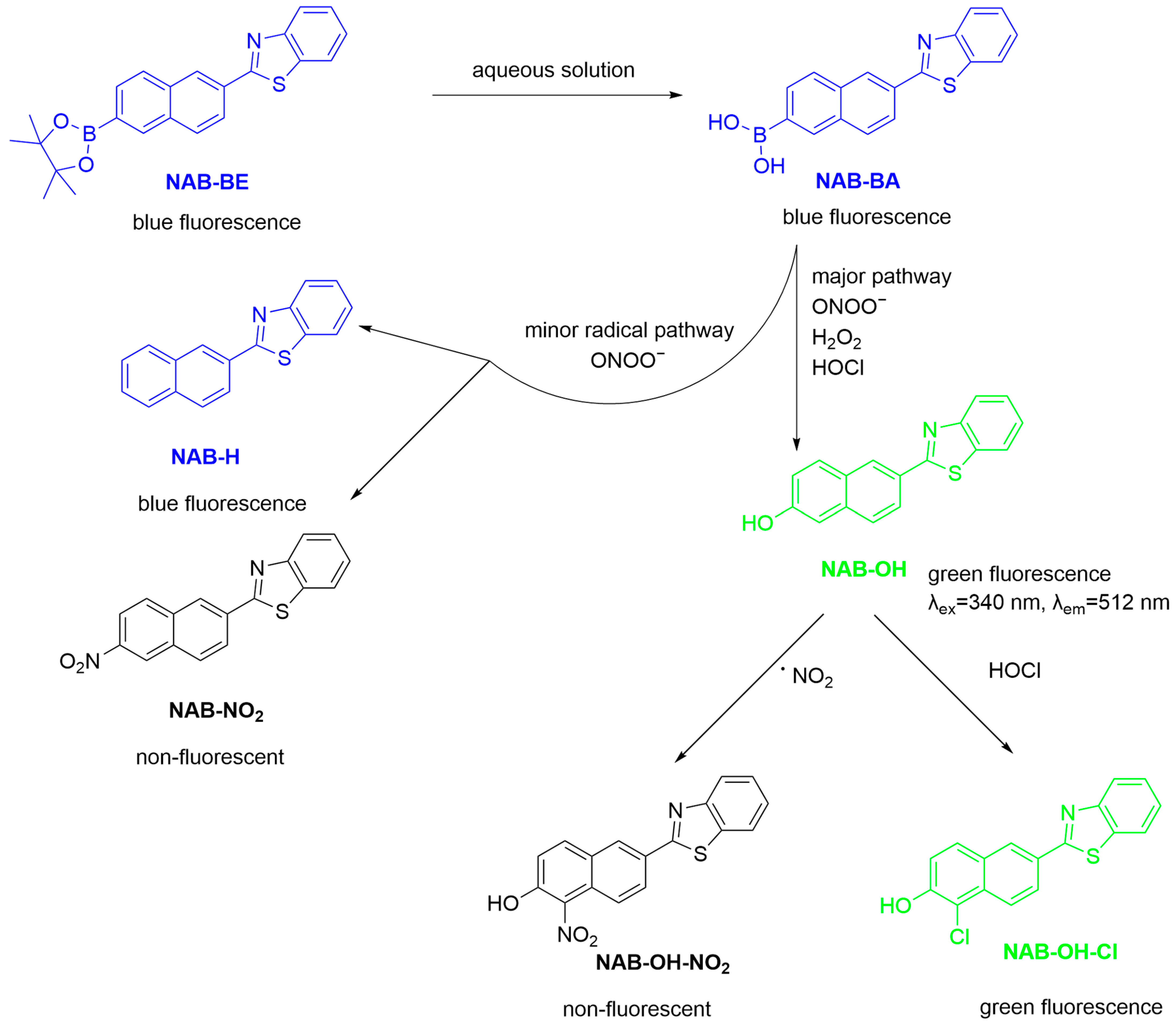 Sensors 25 03018 g006