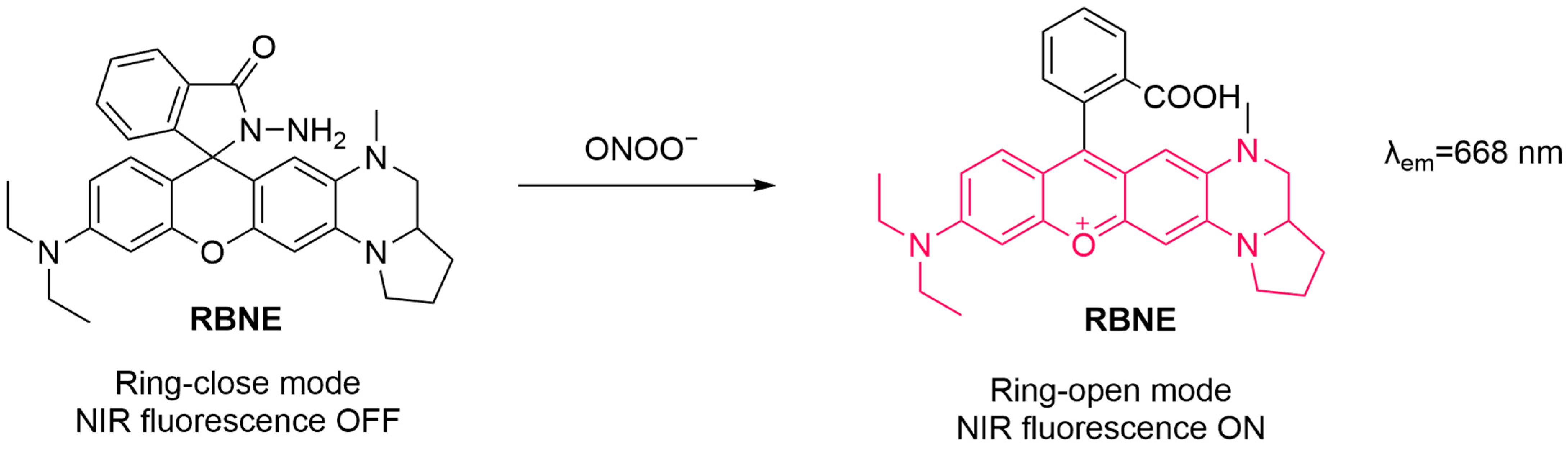 Sensors 25 03018 g013