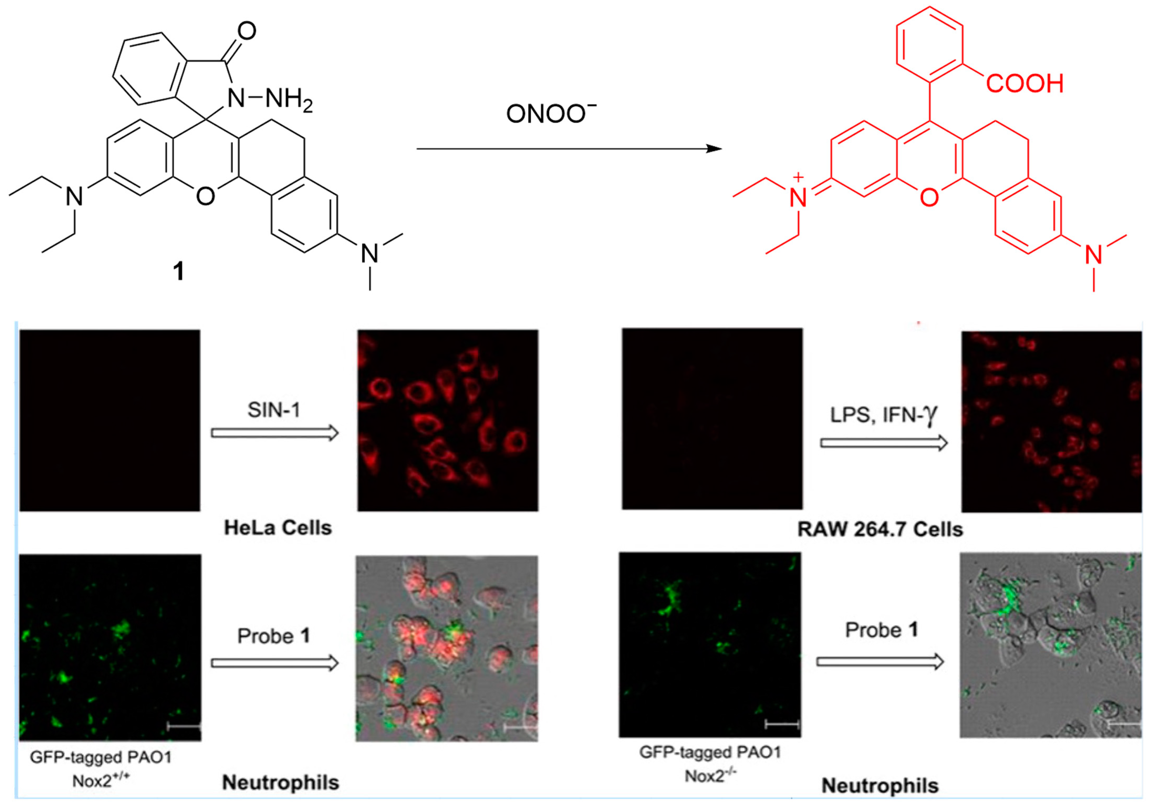 Sensors 25 03018 g014