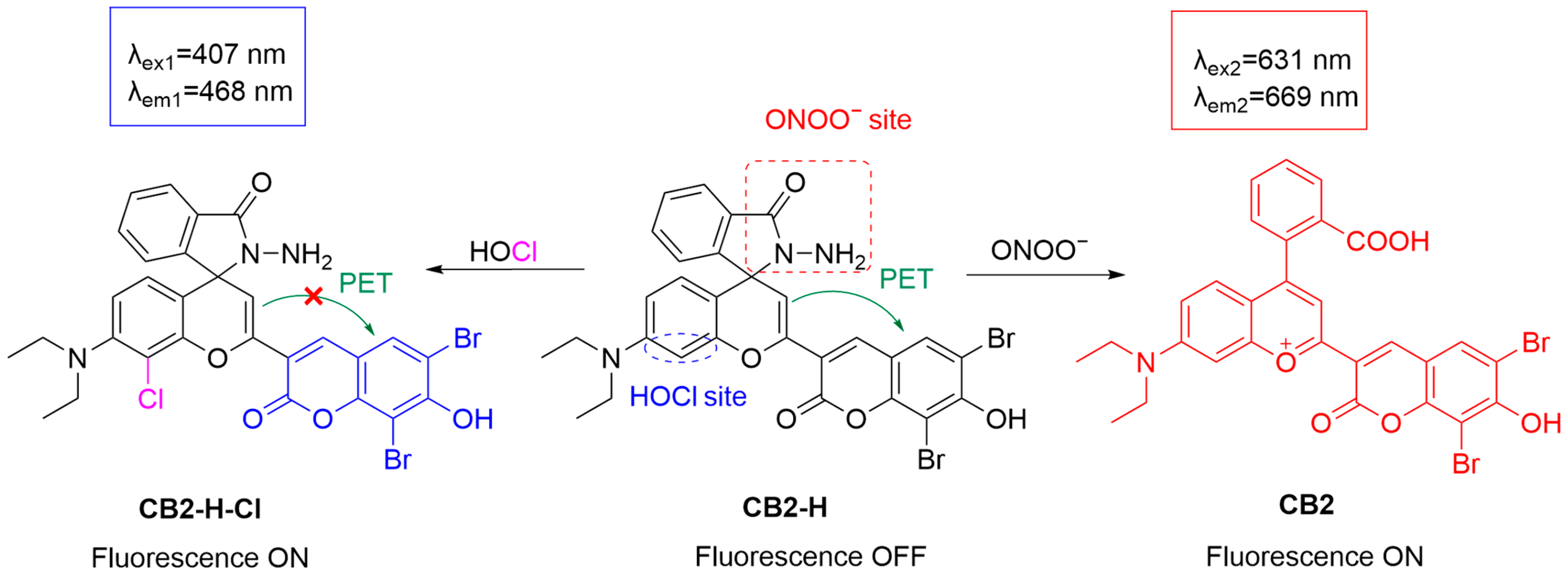 Sensors 25 03018 g015