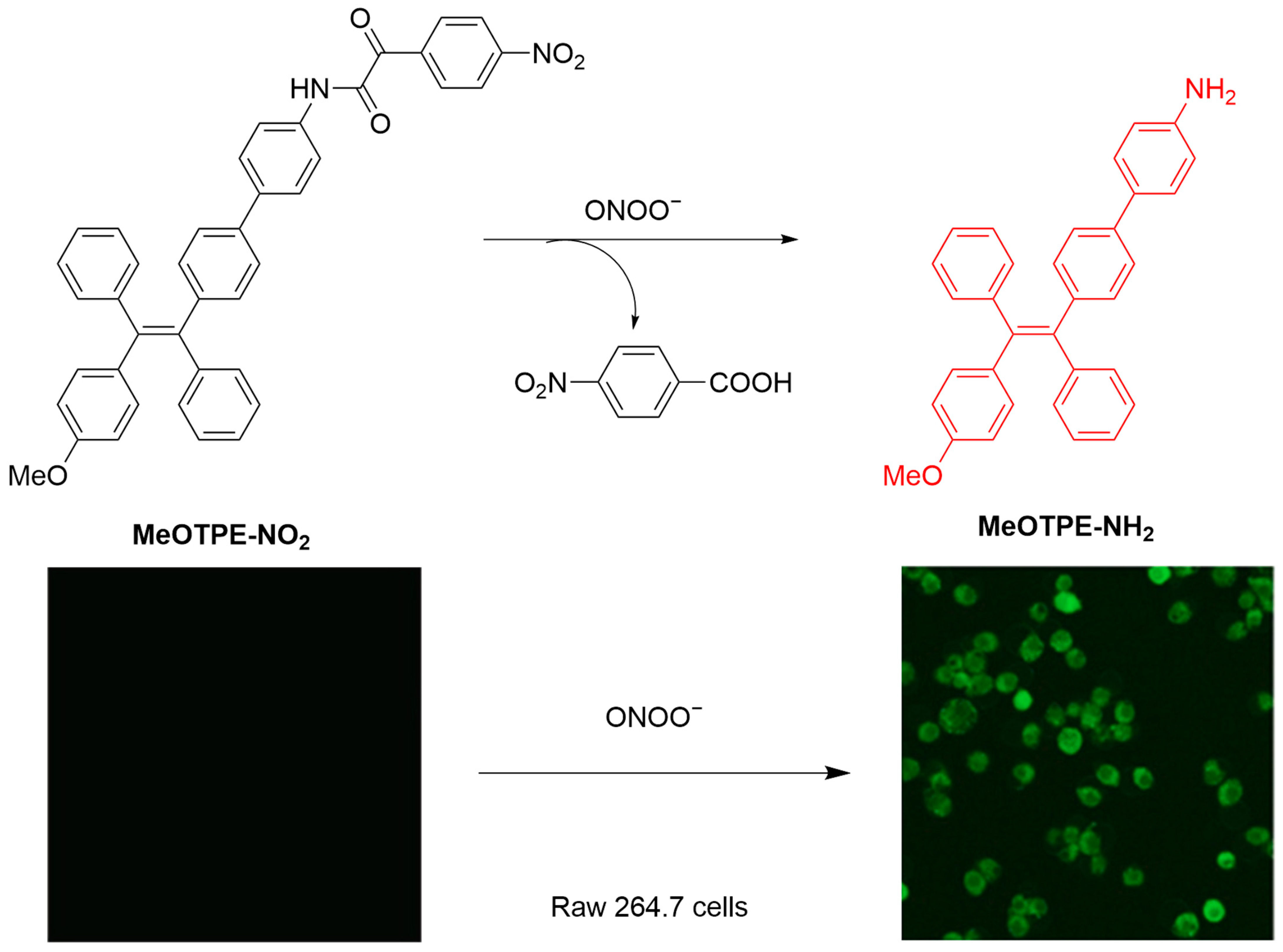 Sensors 25 03018 g023