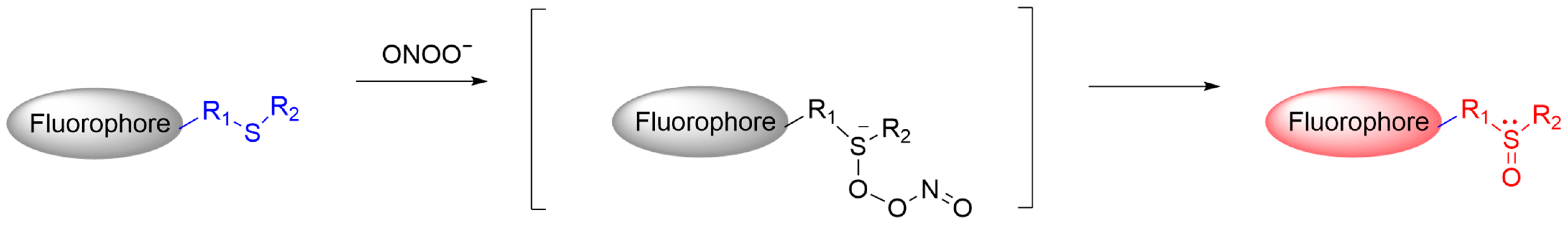 Sensors 25 03018 g028