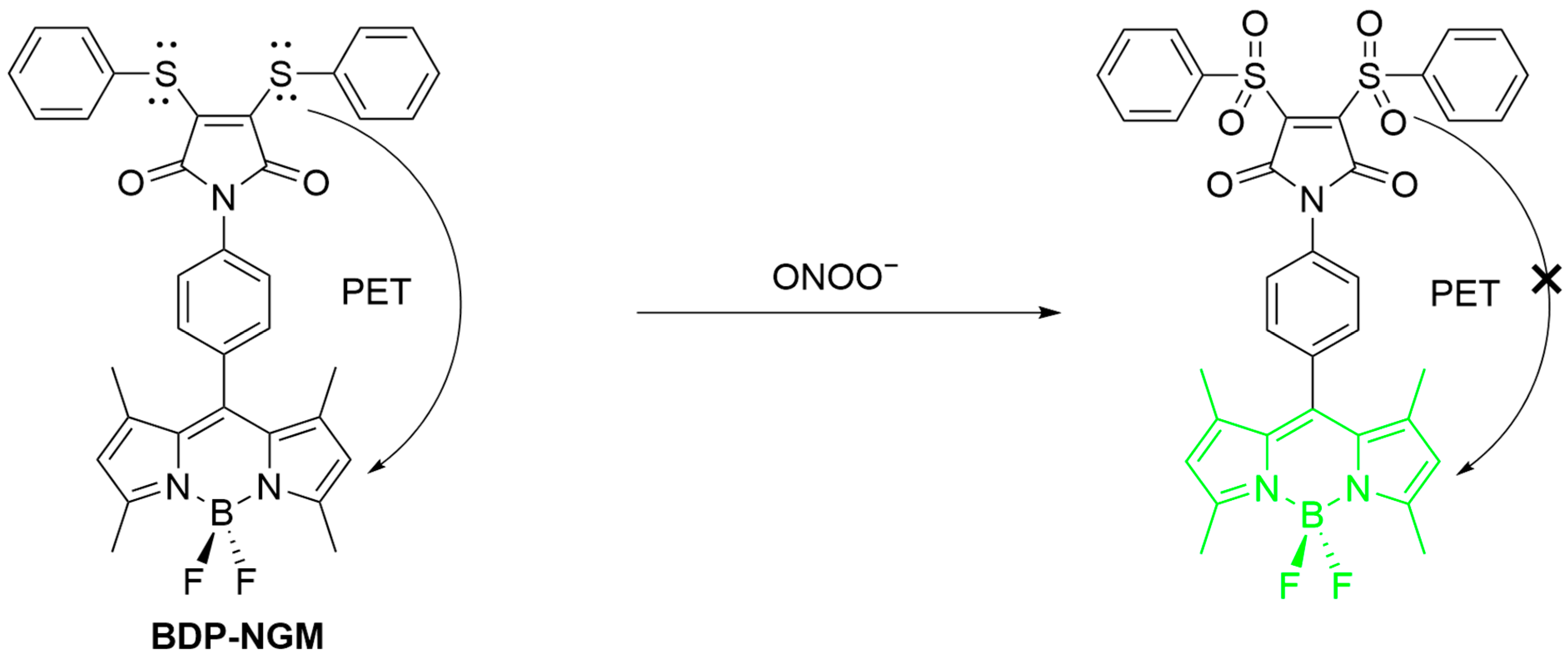 Sensors 25 03018 g029