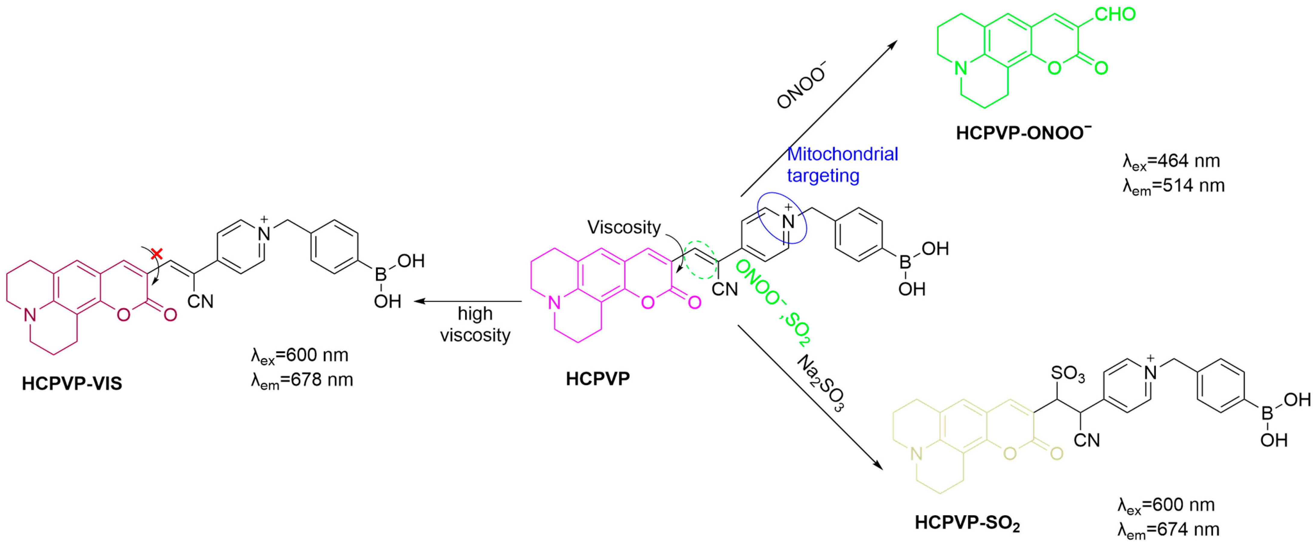 Sensors 25 03018 g034