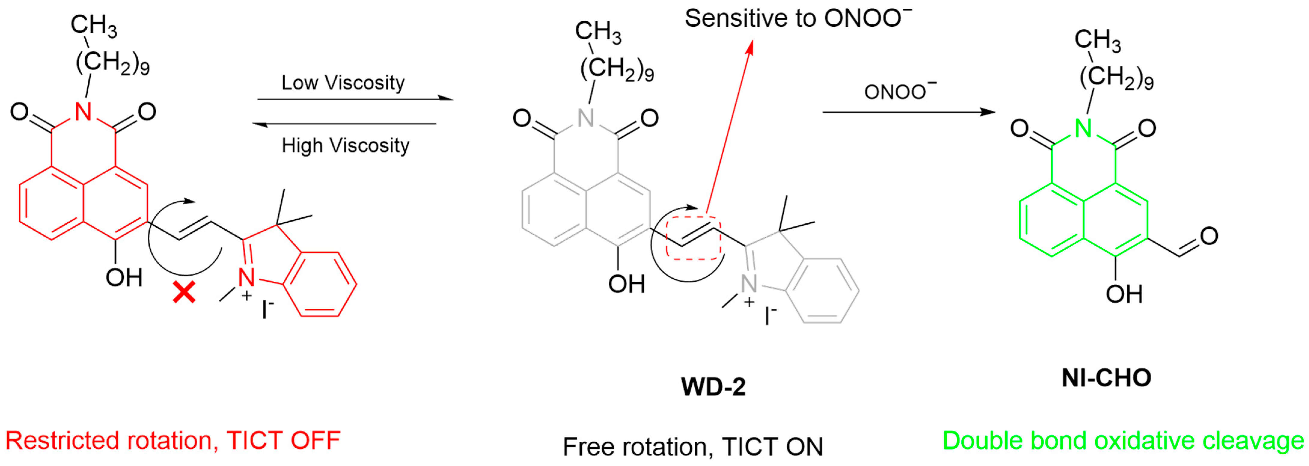 Sensors 25 03018 g036