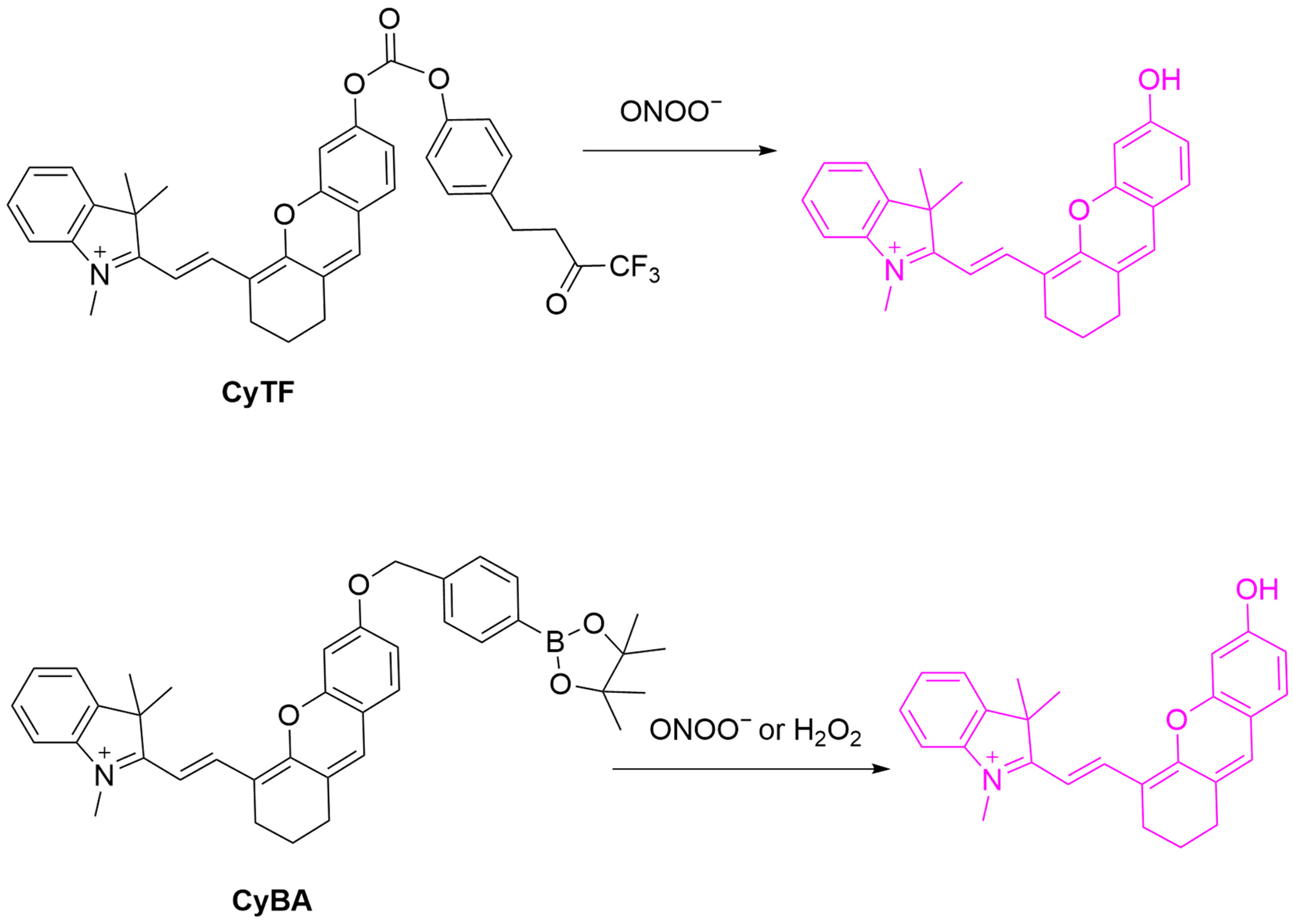 Sensors 25 03018 g042