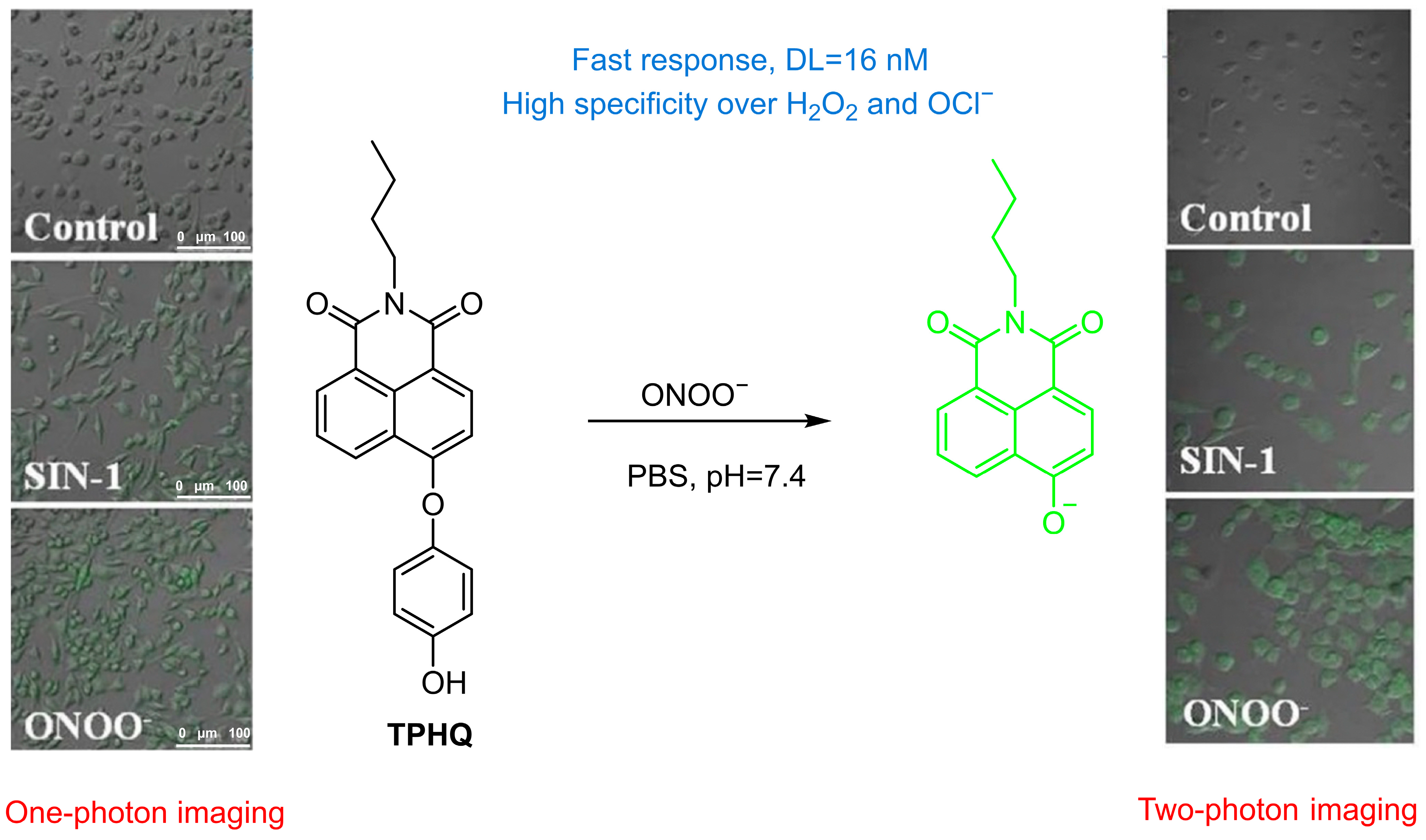 Sensors 25 03018 g045