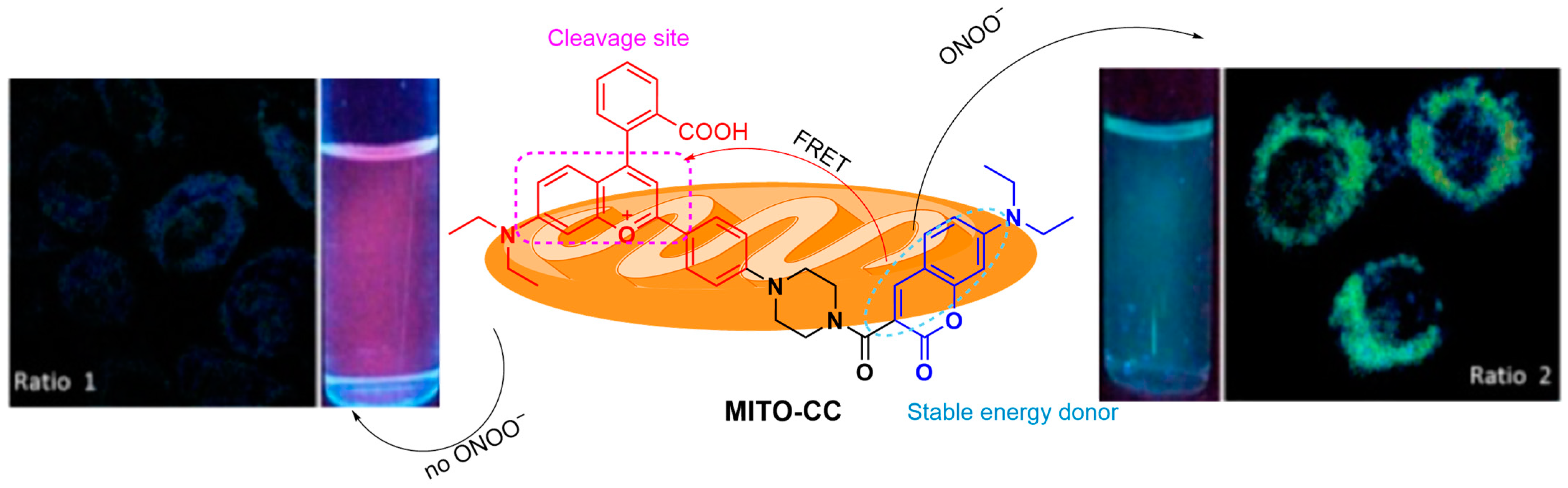 Sensors 25 03018 g051