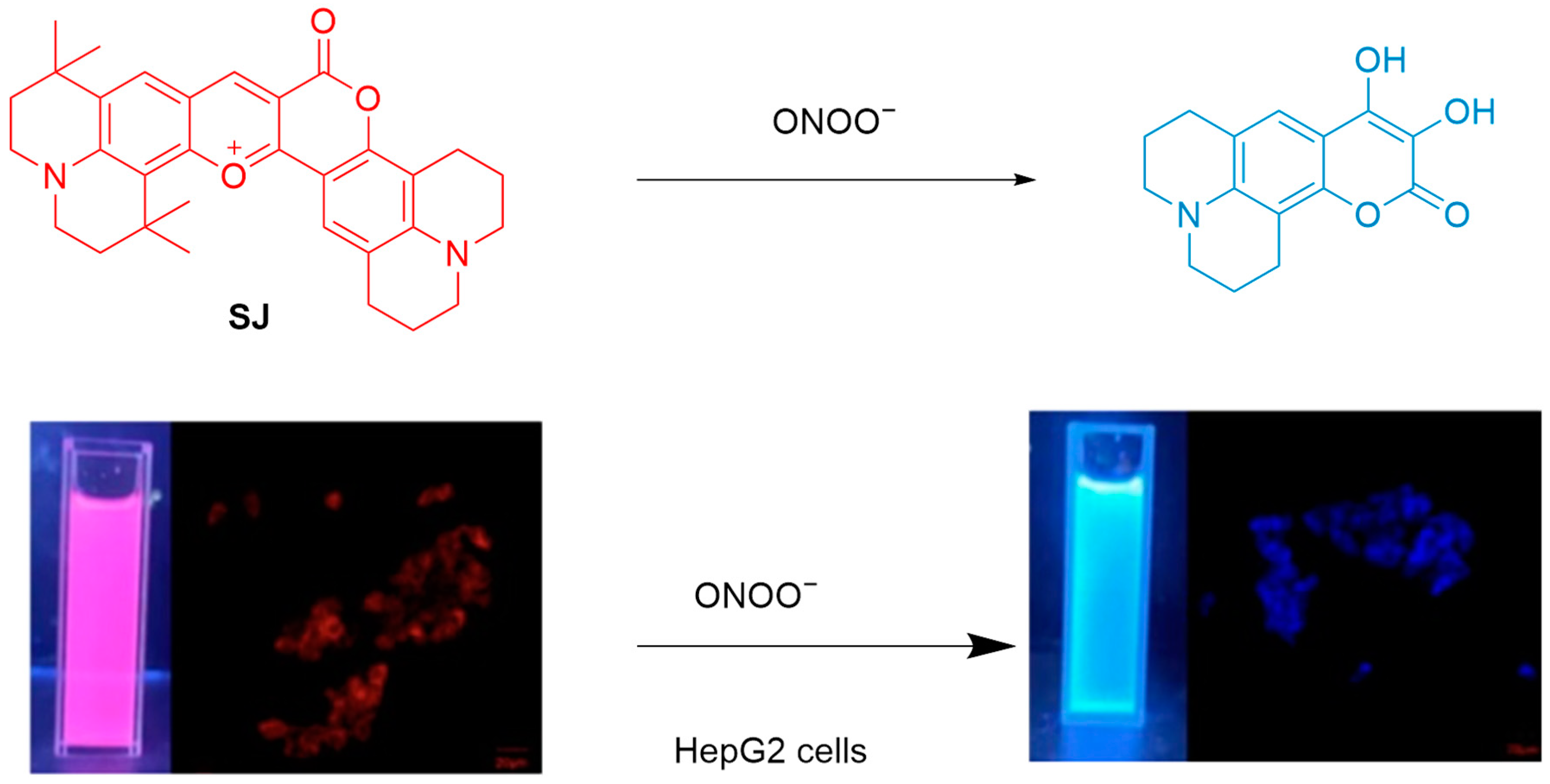 Sensors 25 03018 g054