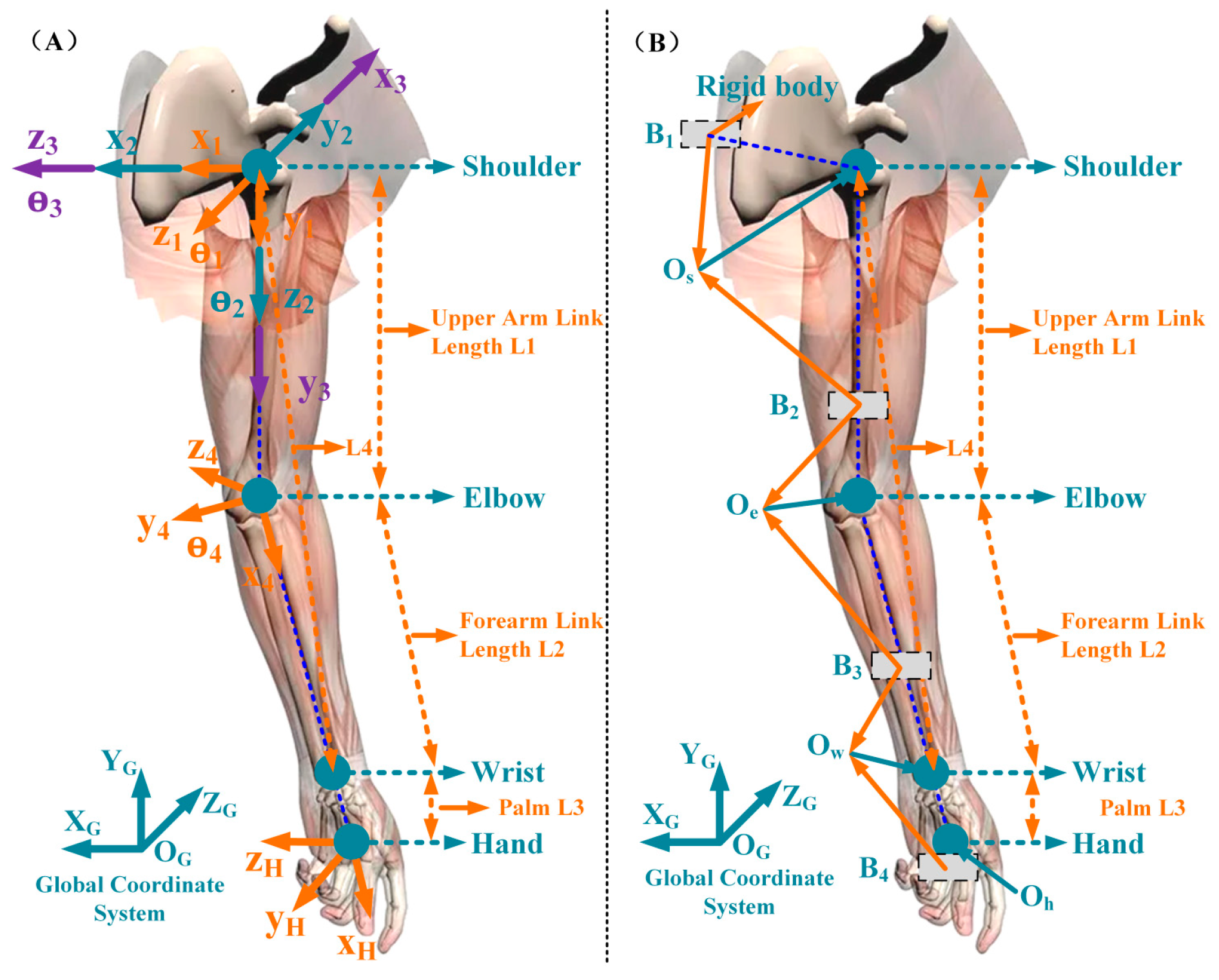 Sensors 25 03032 g001