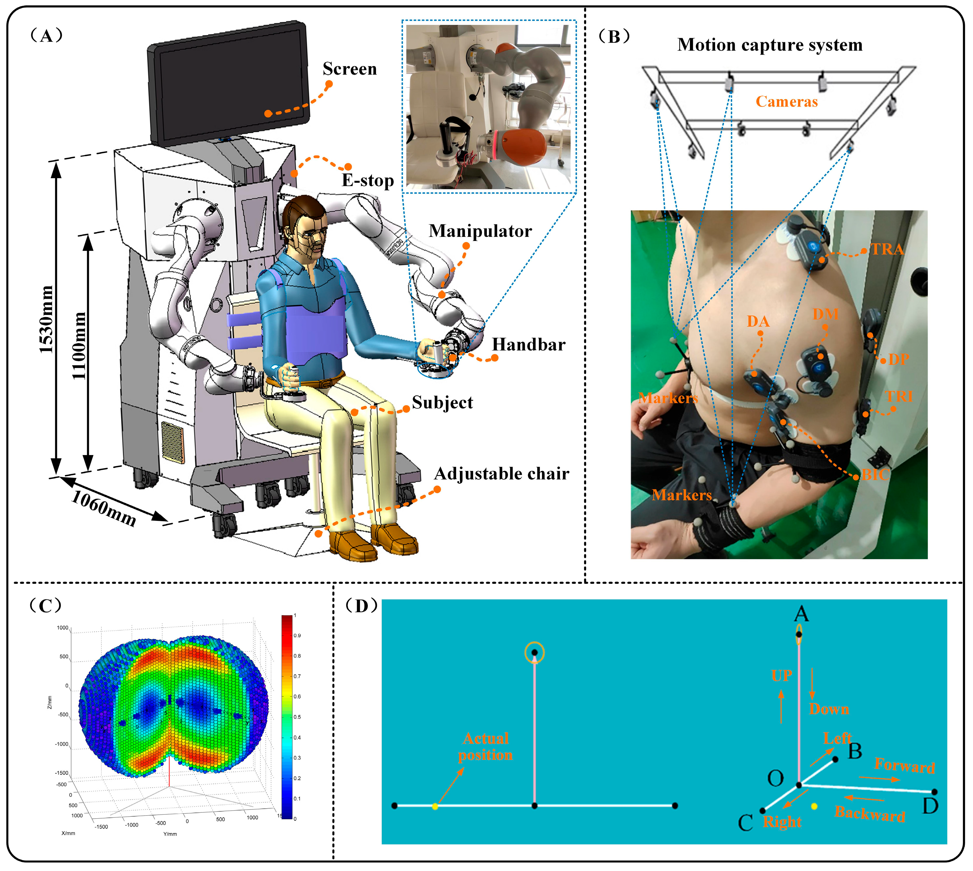 Sensors 25 03032 g006