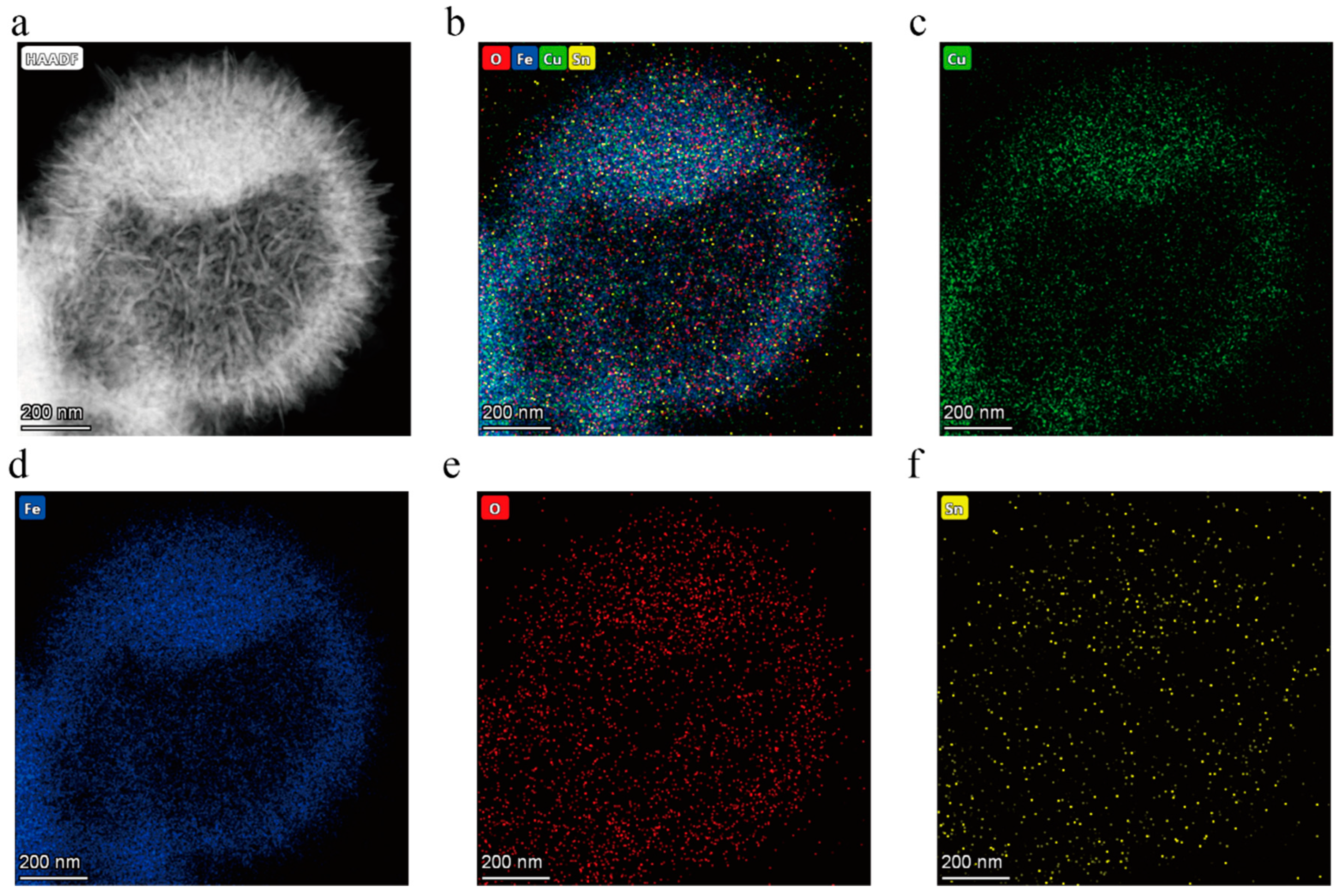 Sensors 25 03042 g004