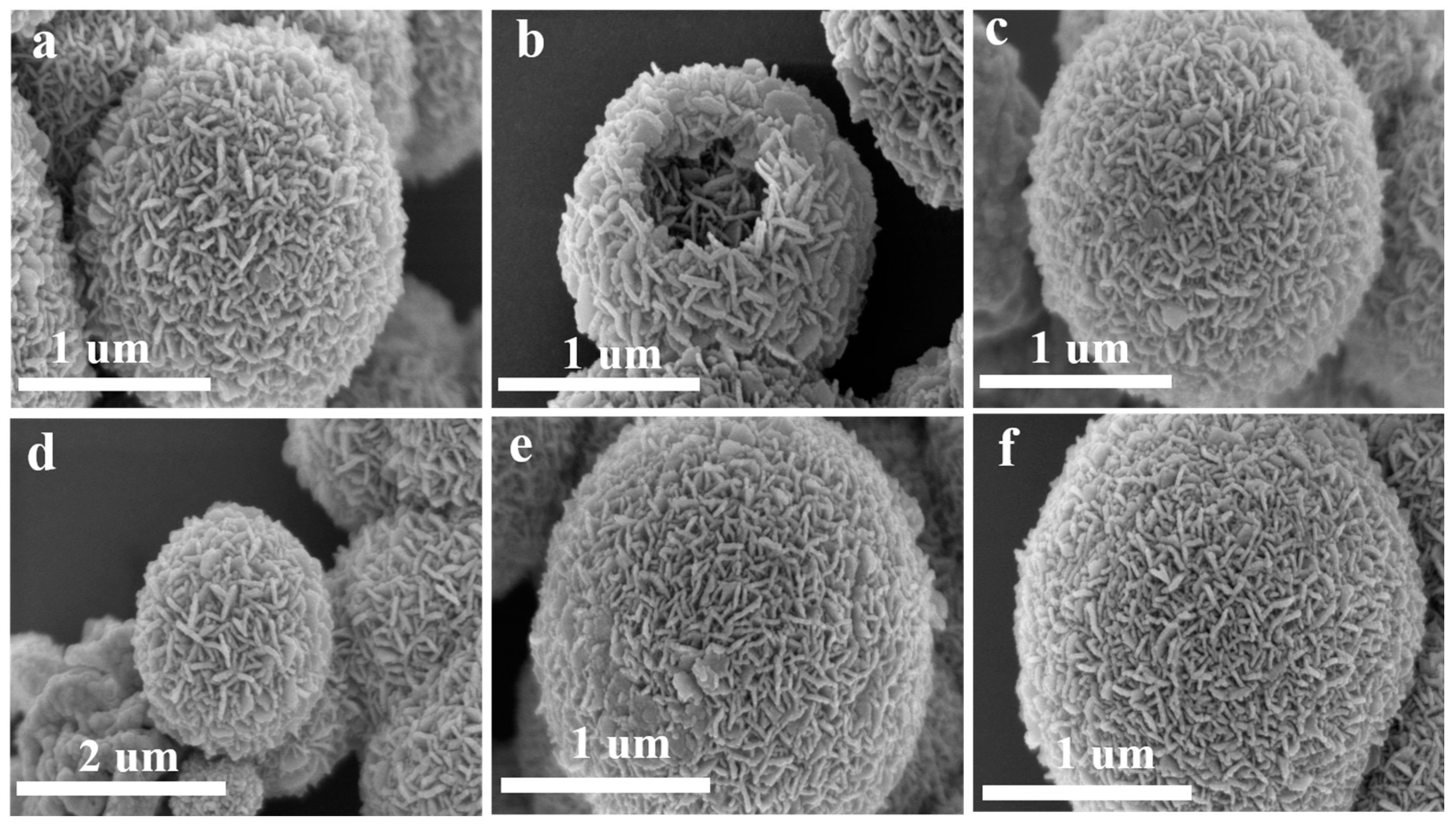 Sensors 25 03042 g006