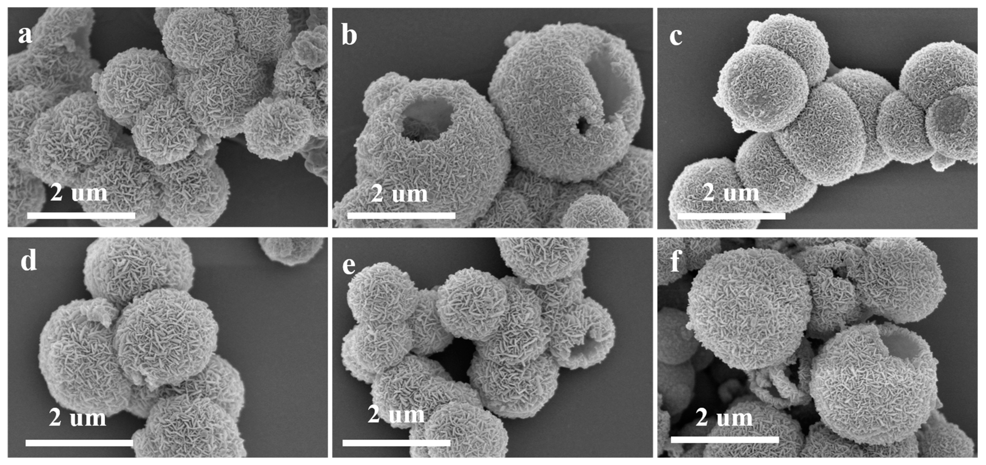 Sensors 25 03042 g008