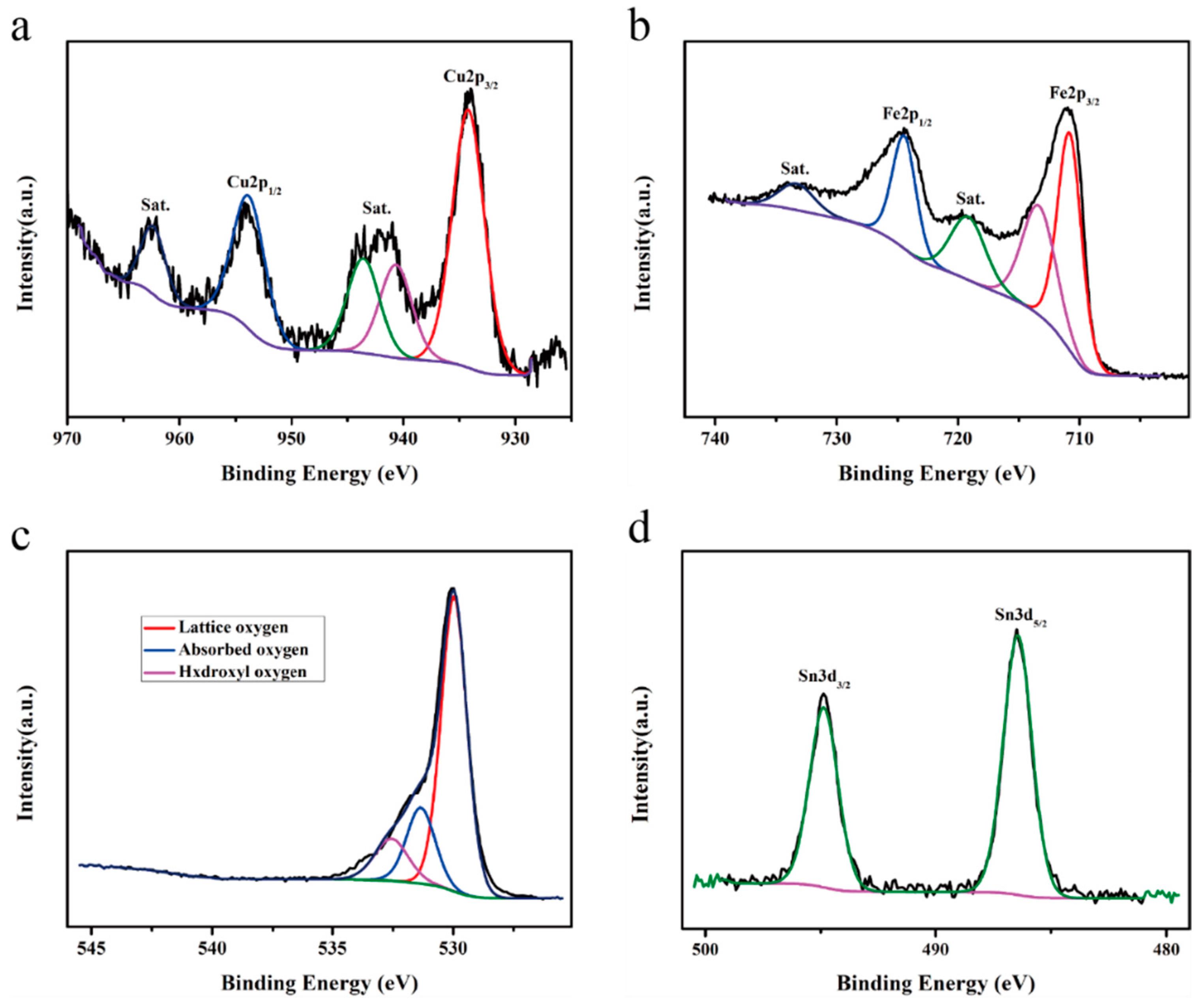 Sensors 25 03042 g011