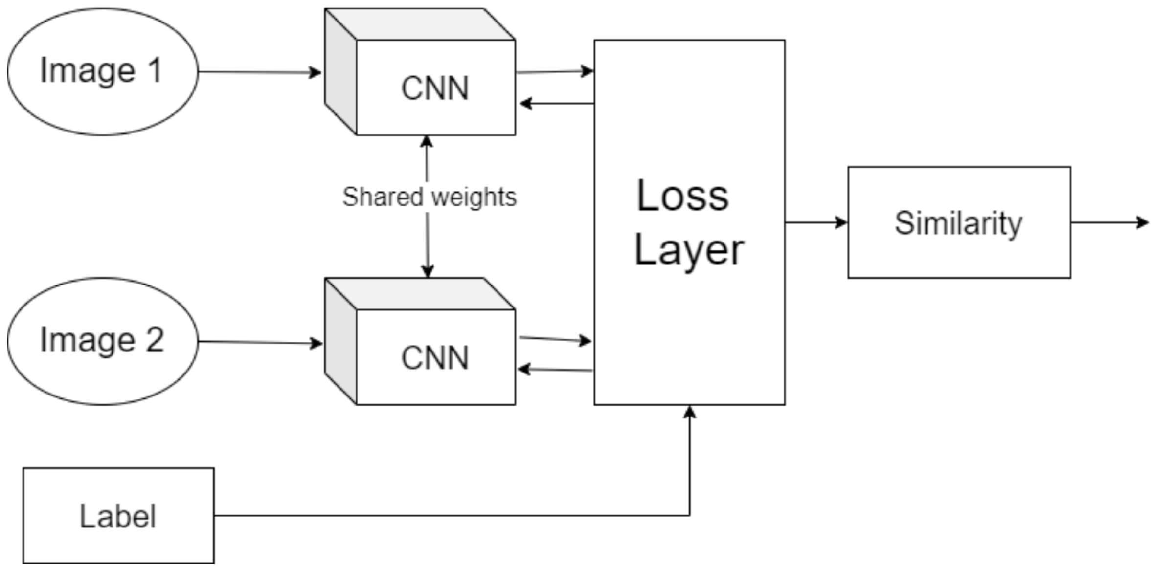 Sensors 25 03048 g001