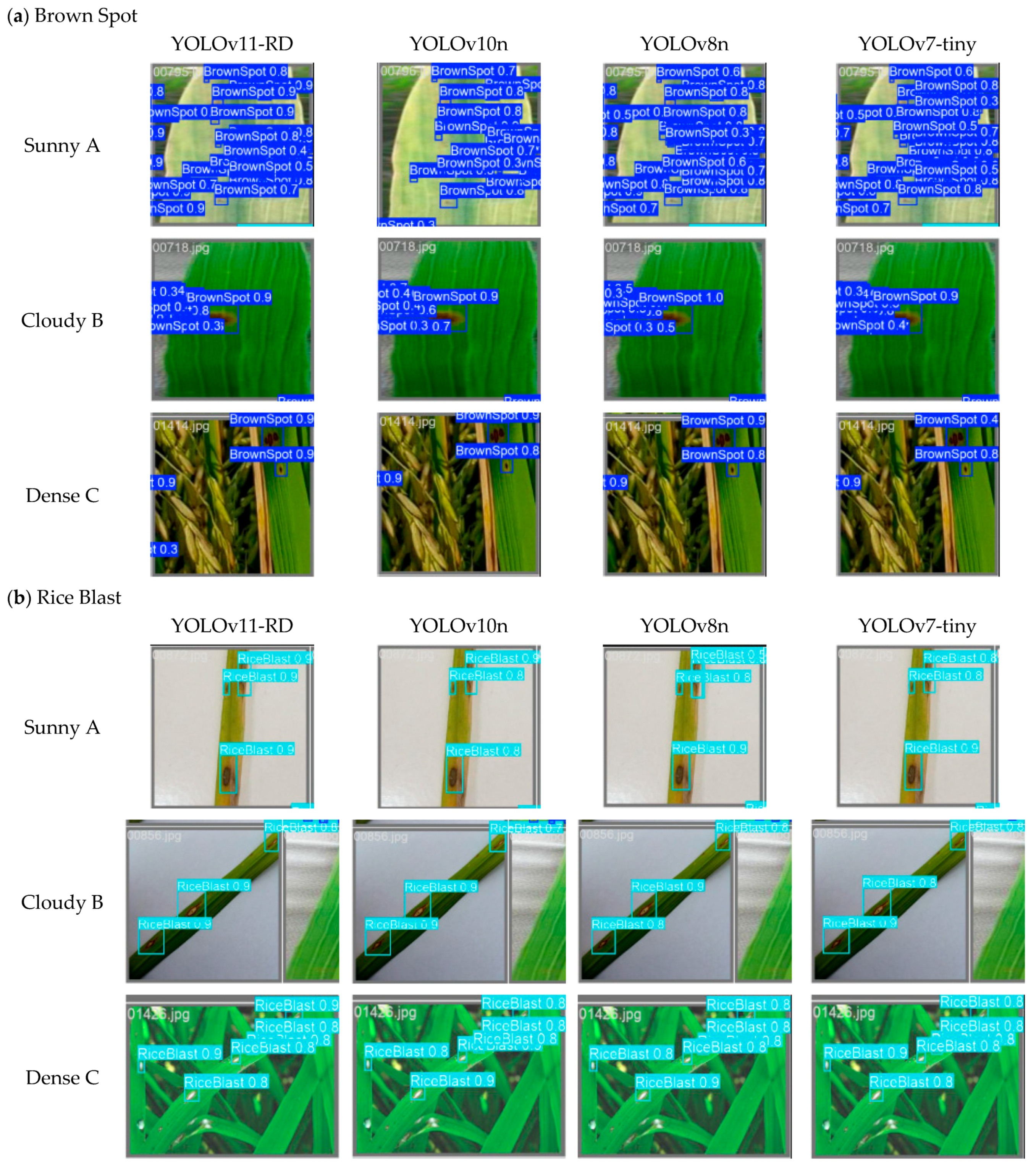 Sensors 25 03056 g013a