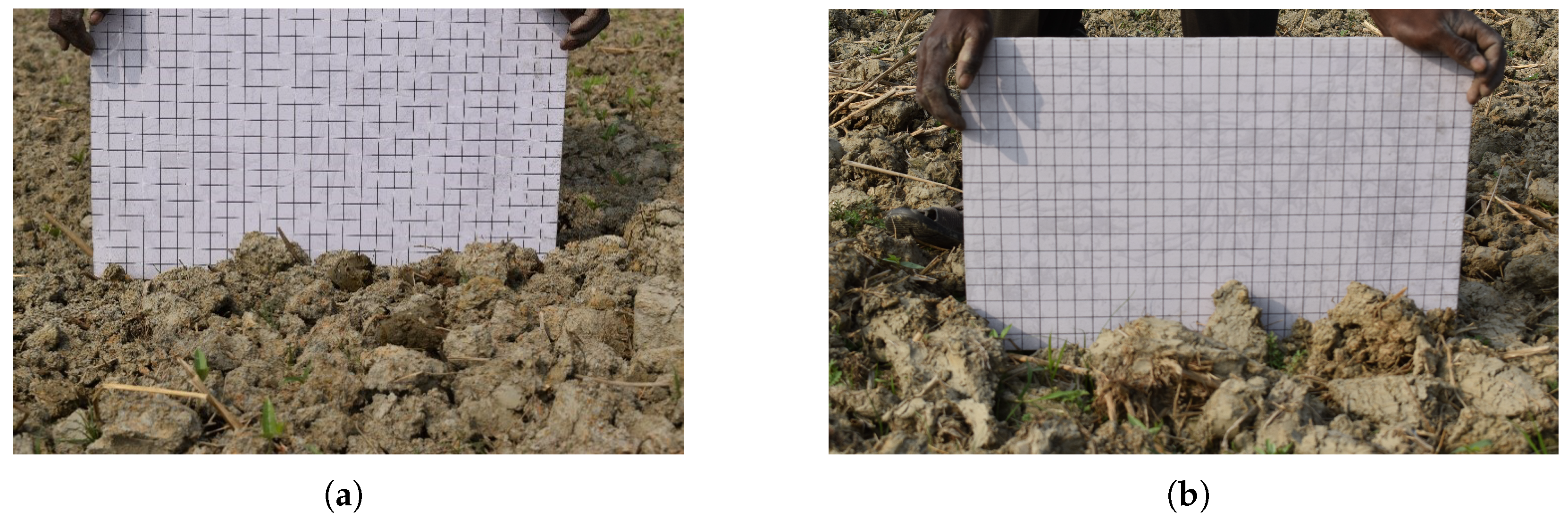 Sensors 25 03065 g001