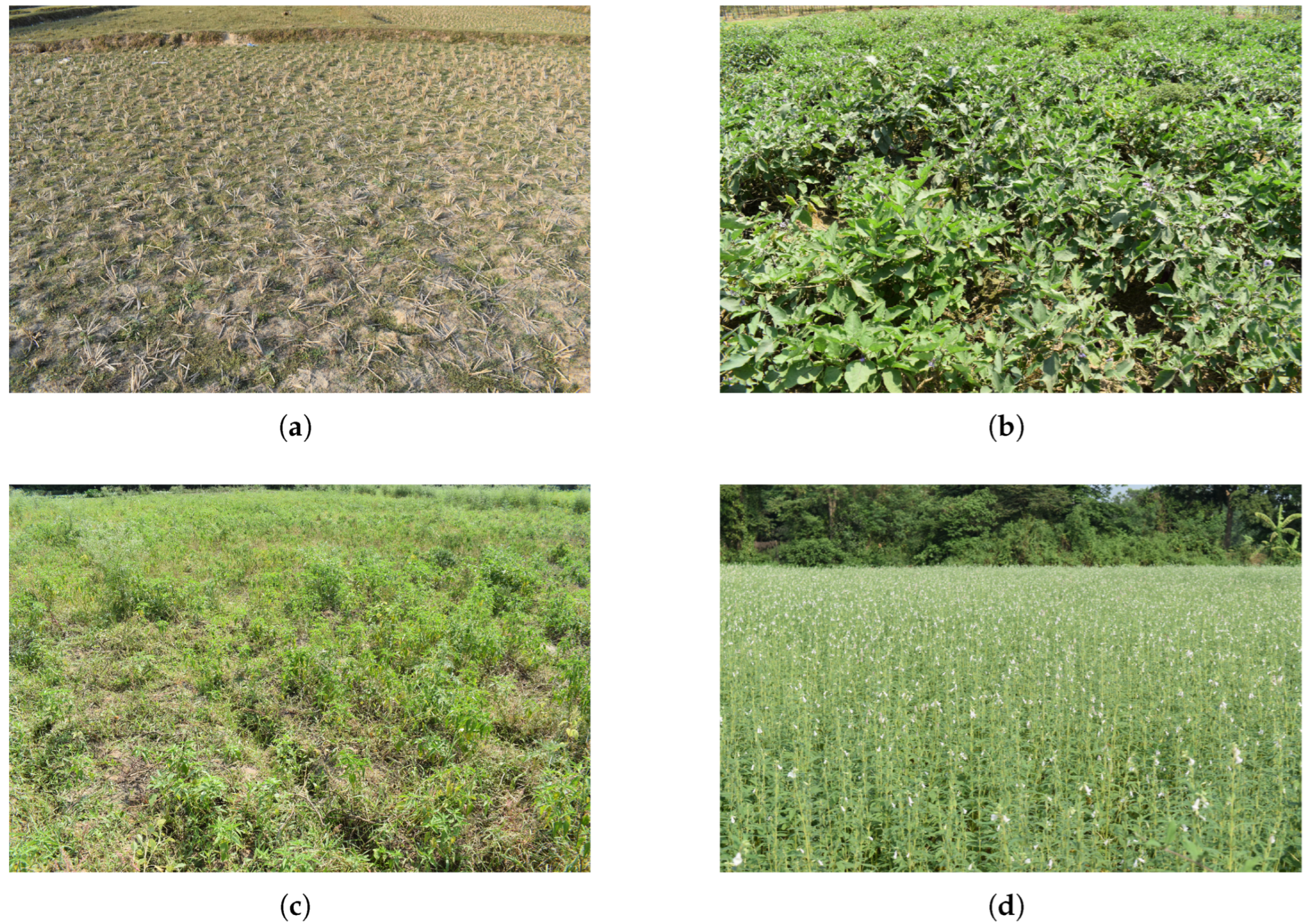 Sensors 25 03065 g003