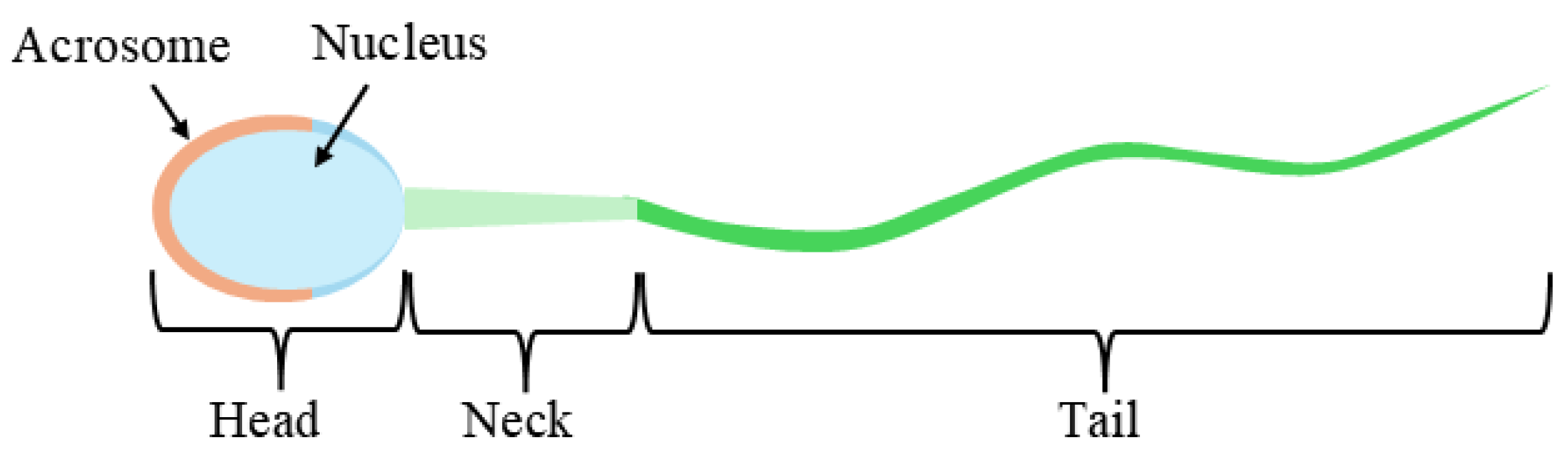 Sensors 25 03093 g001