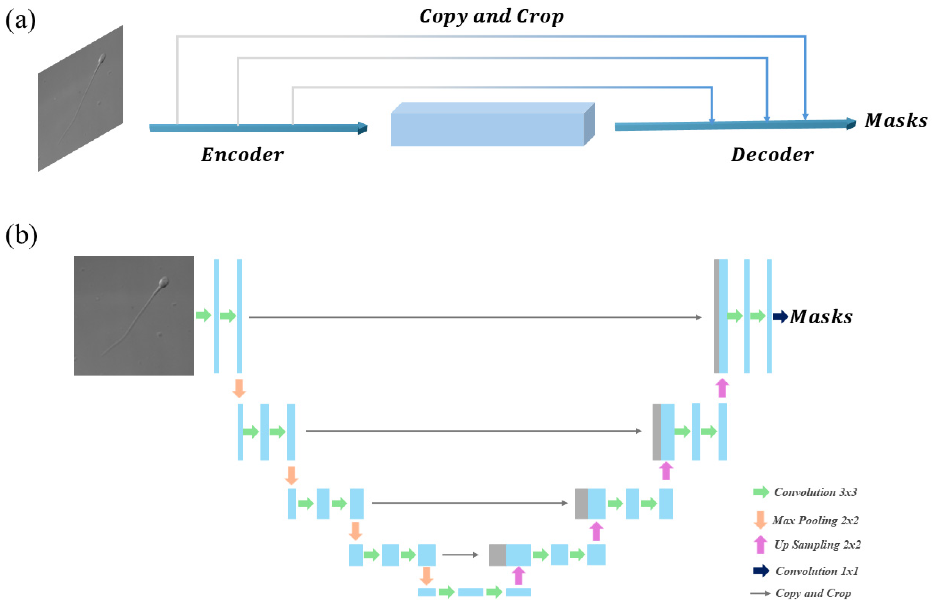 Sensors 25 03093 g003