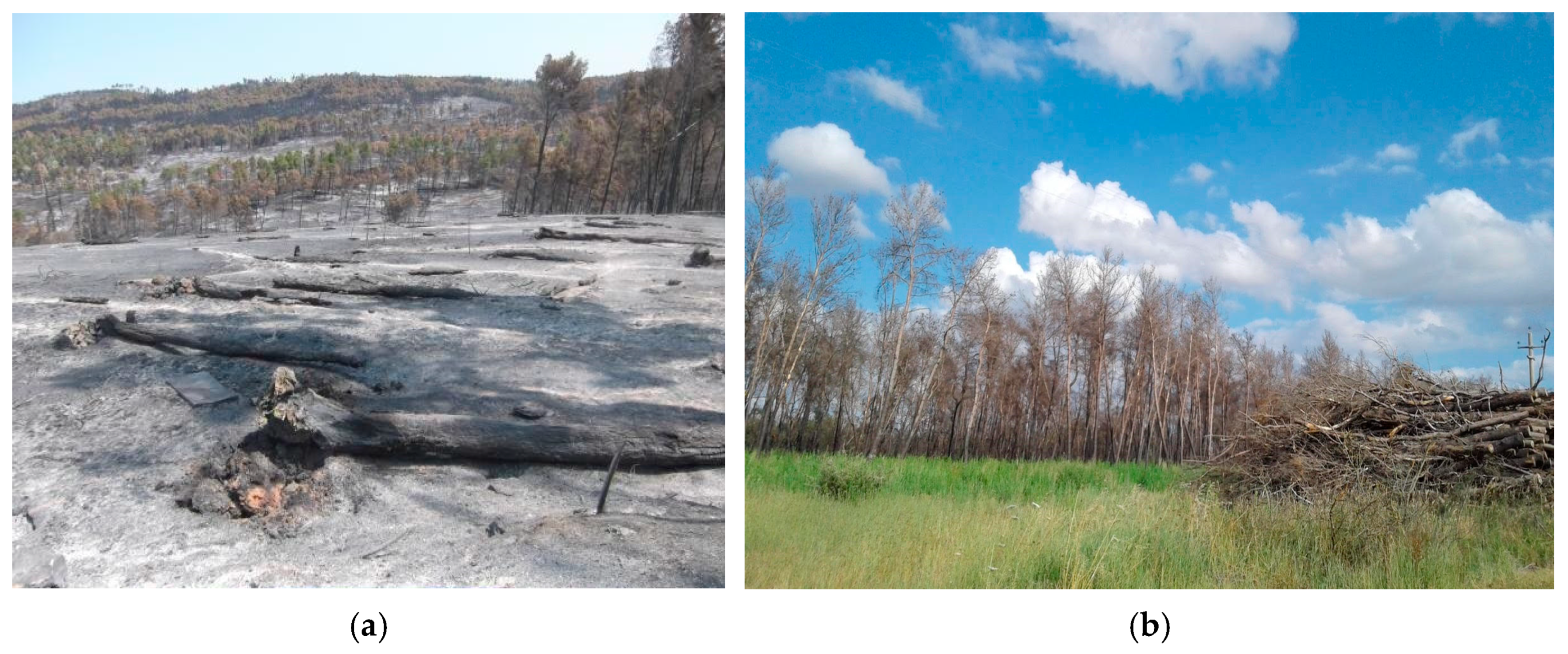 Sensors 25 03097 g016