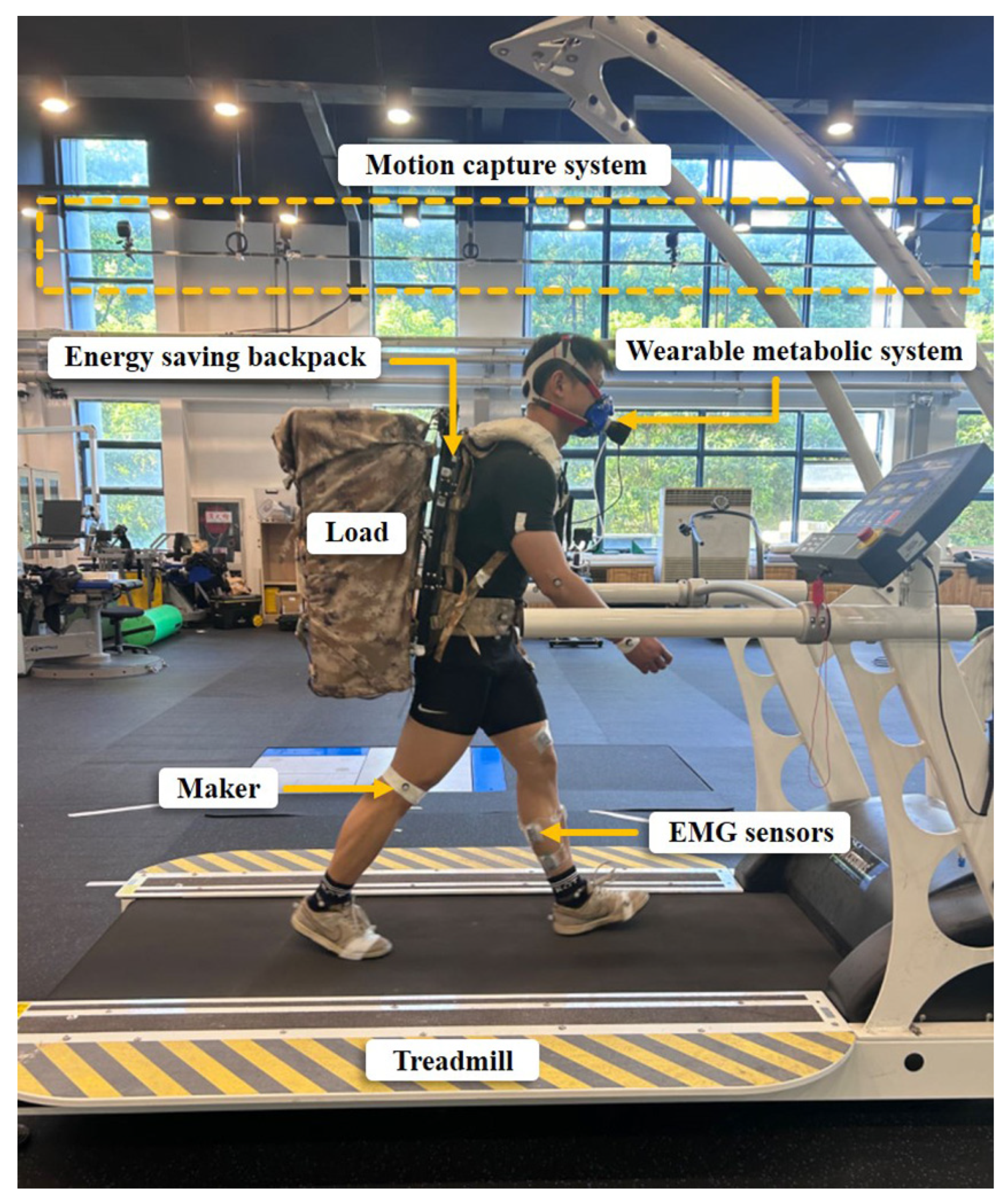 Sensors 25 03099 g007